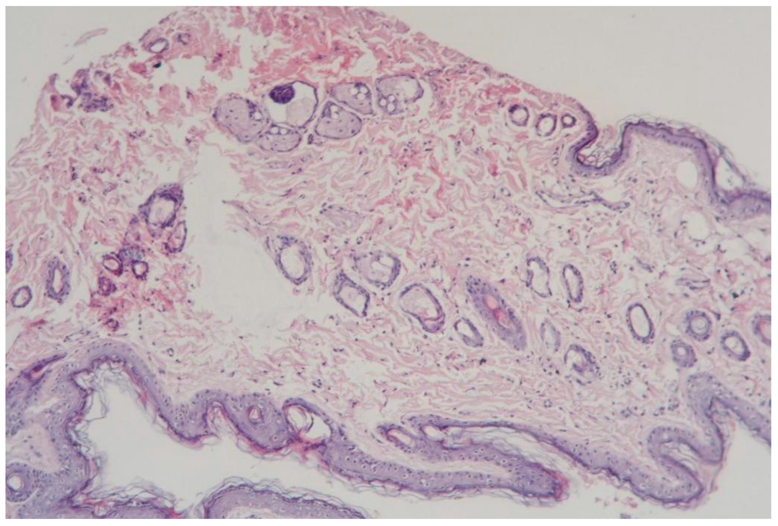 Cosmetics 12 00039 g004