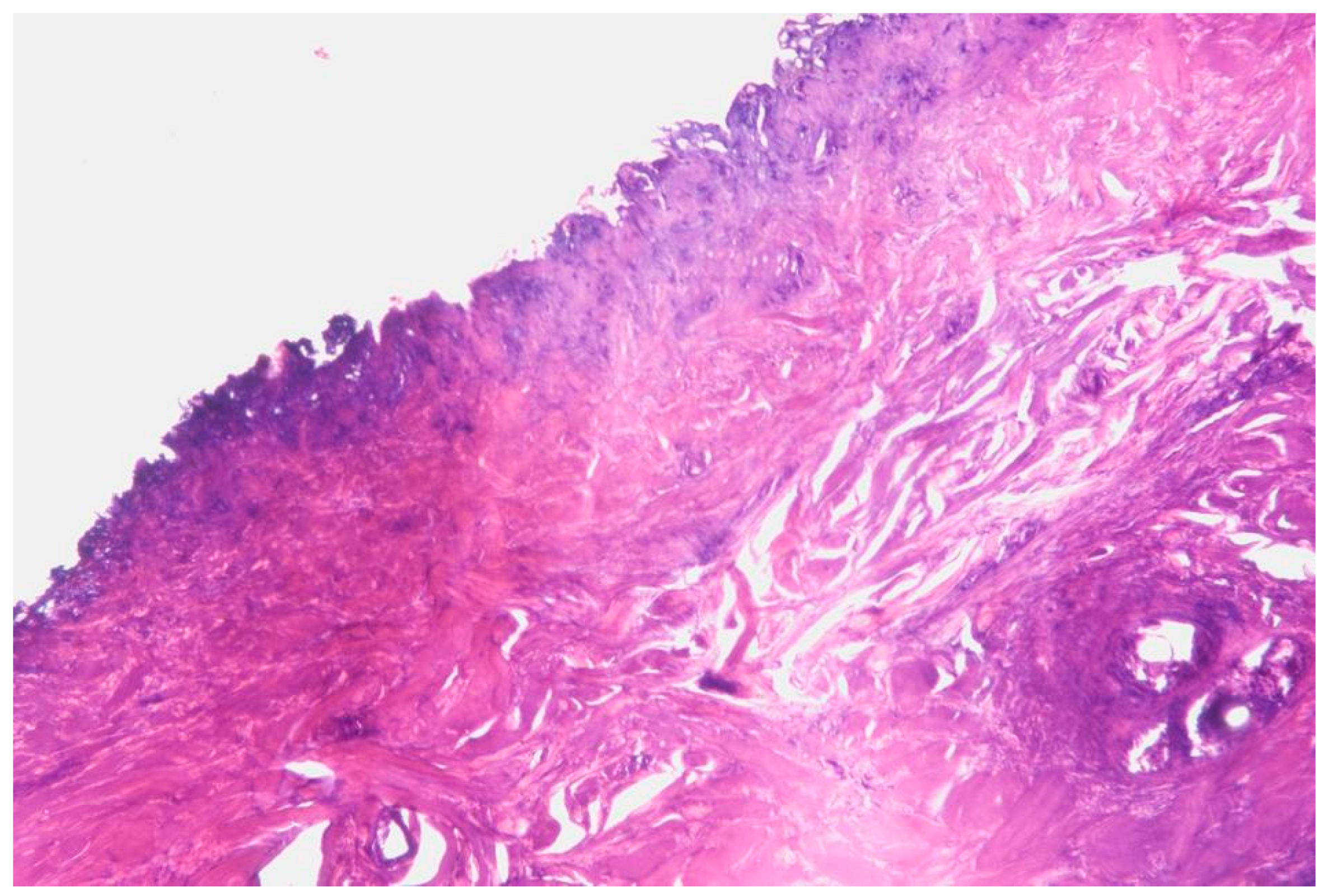 Cosmetics 12 00039 g006