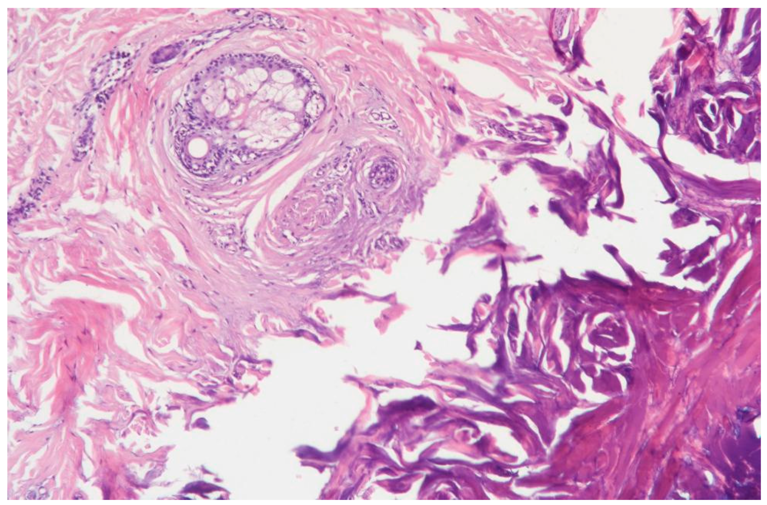 Cosmetics 12 00039 g007