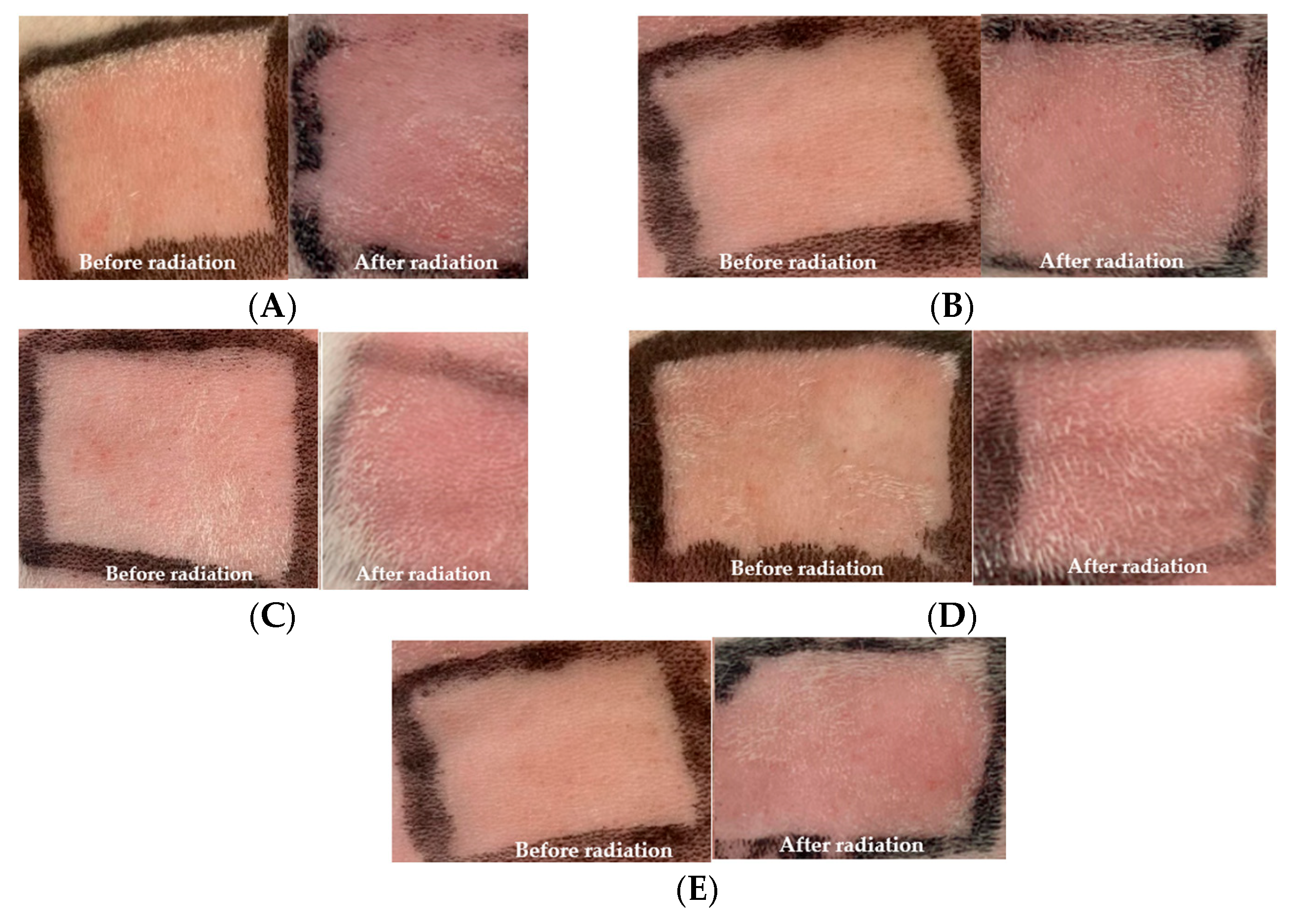 Cosmetics 12 00041 g002