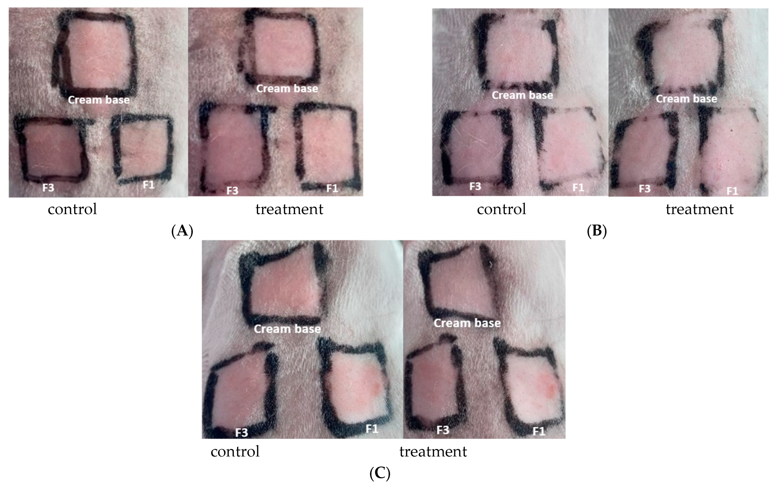Cosmetics 12 00041 g004