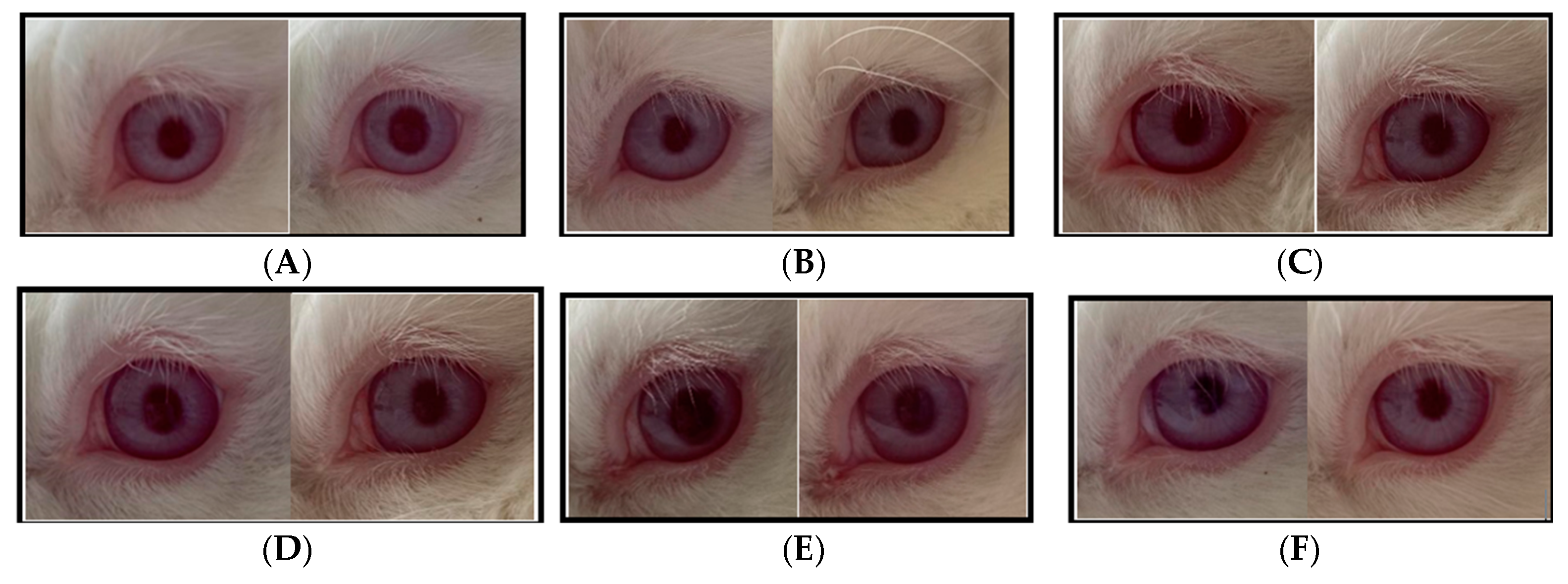 Cosmetics 12 00041 g005