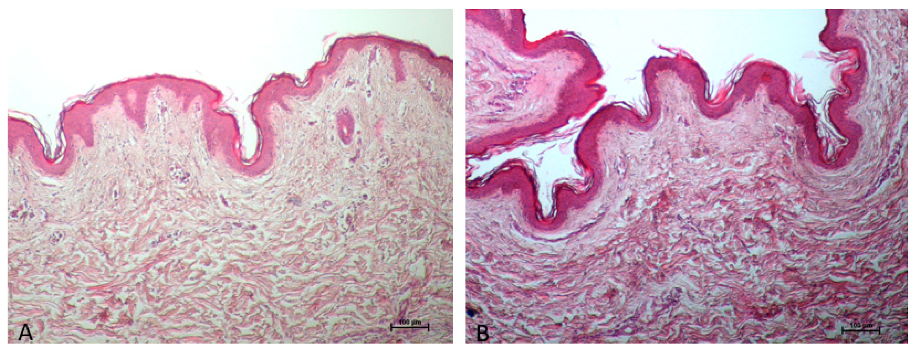 Cosmetics 12 00042 g001