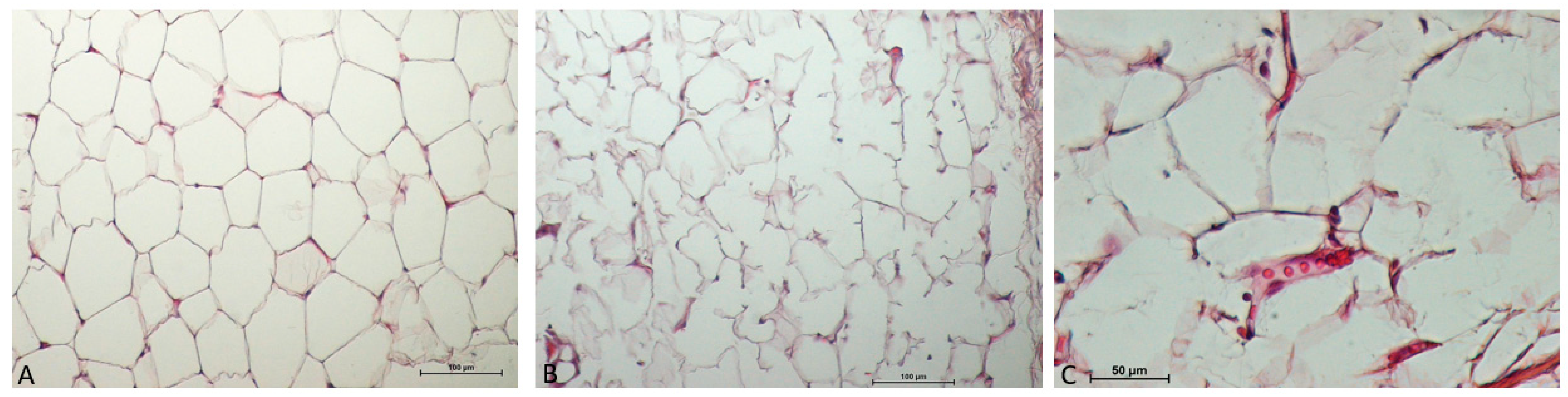 Cosmetics 12 00042 g002