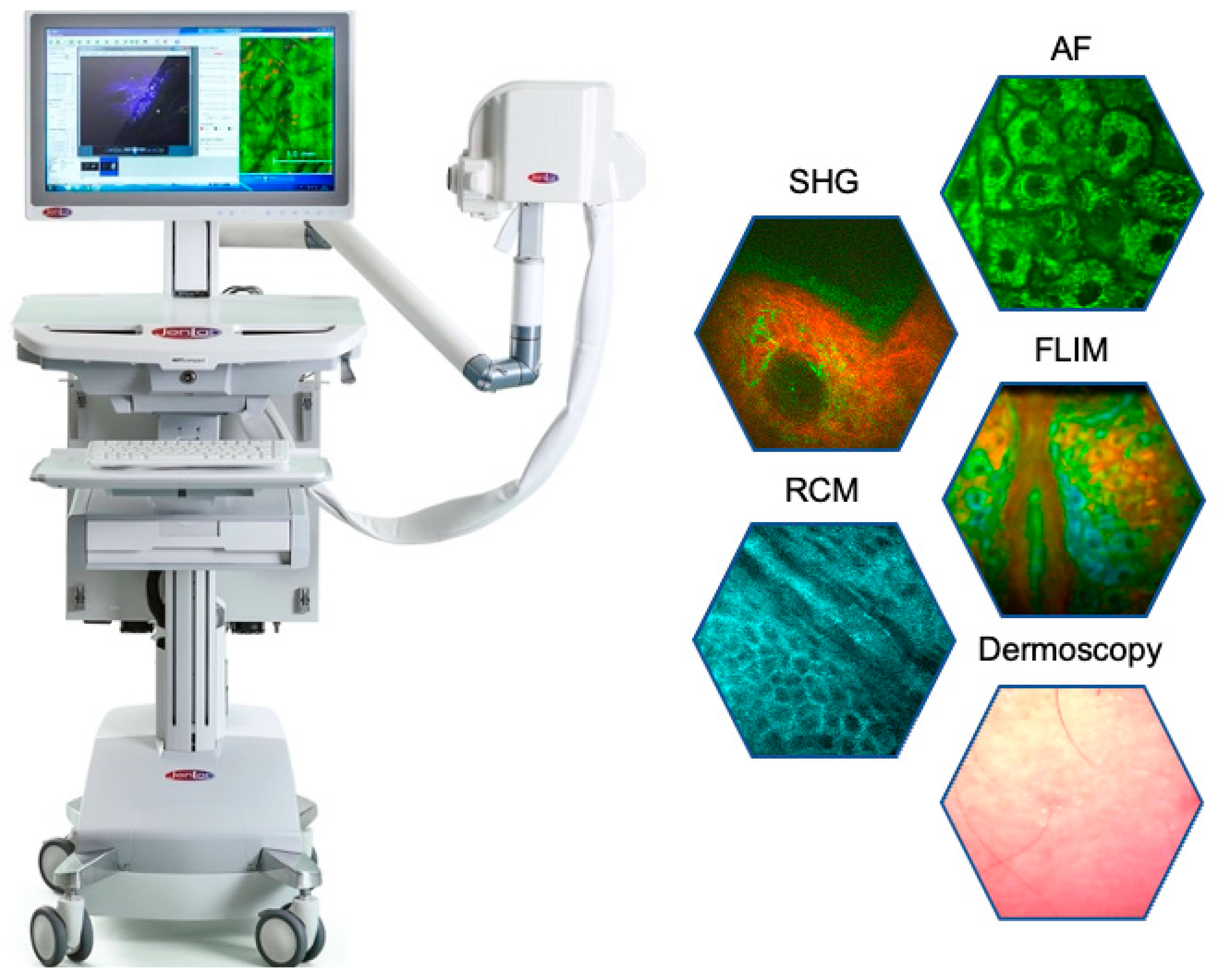 Cosmetics 12 00044 g006
