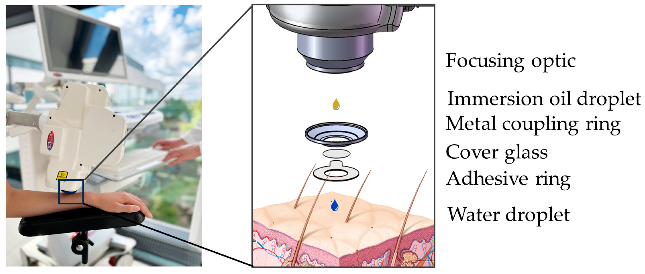 Cosmetics 12 00044 g007