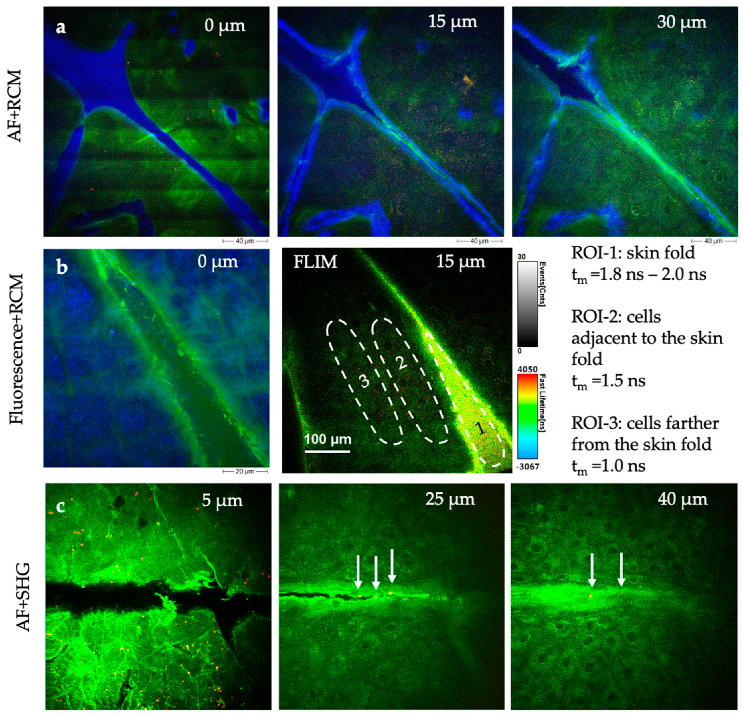 Cosmetics 12 00044 g013