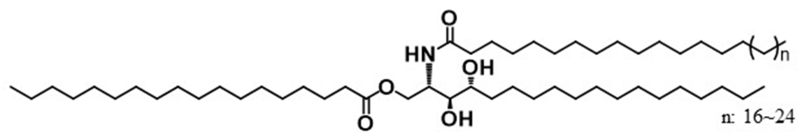 Cosmetics 12 00047 g001