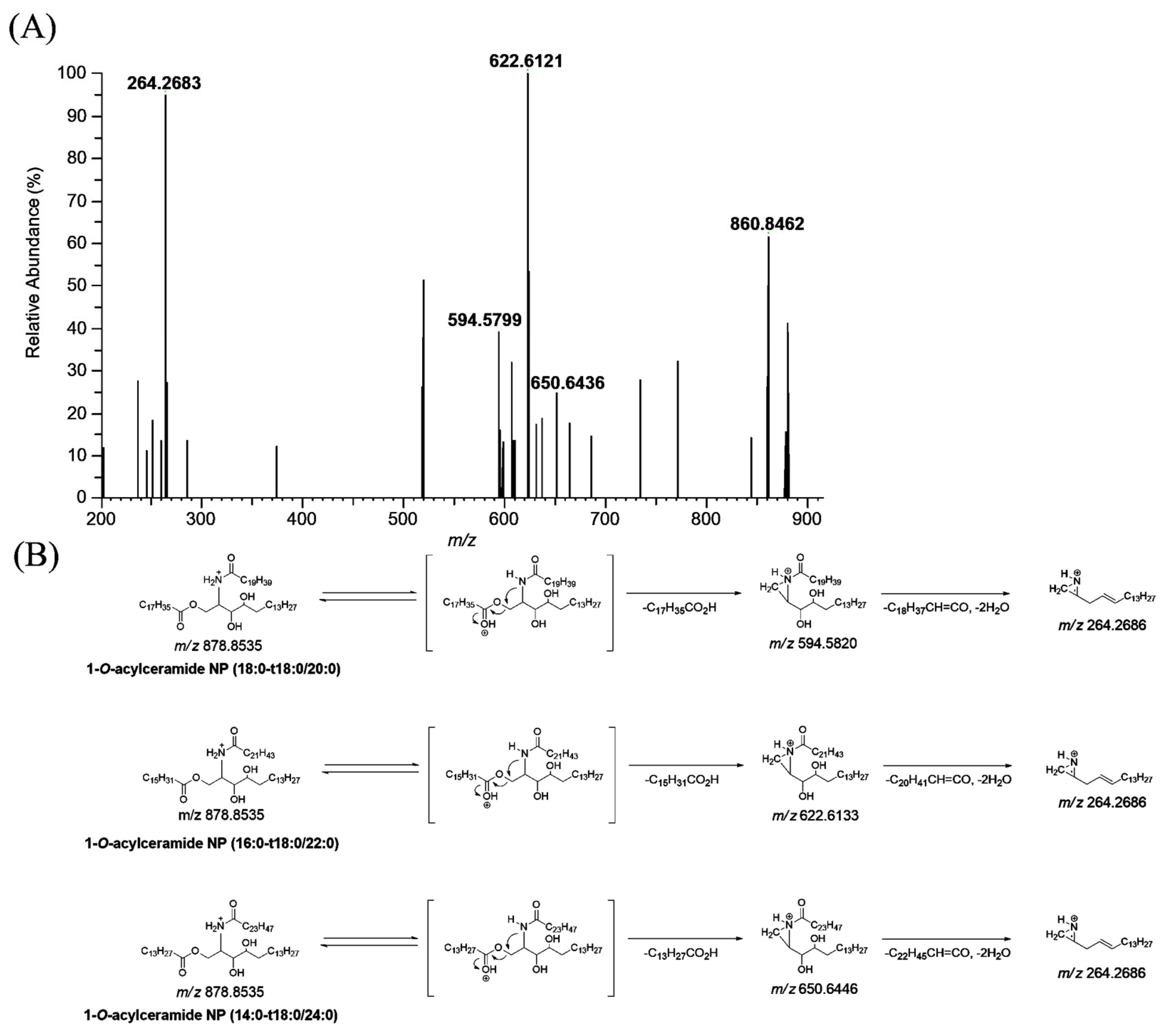Cosmetics 12 00047 g004
