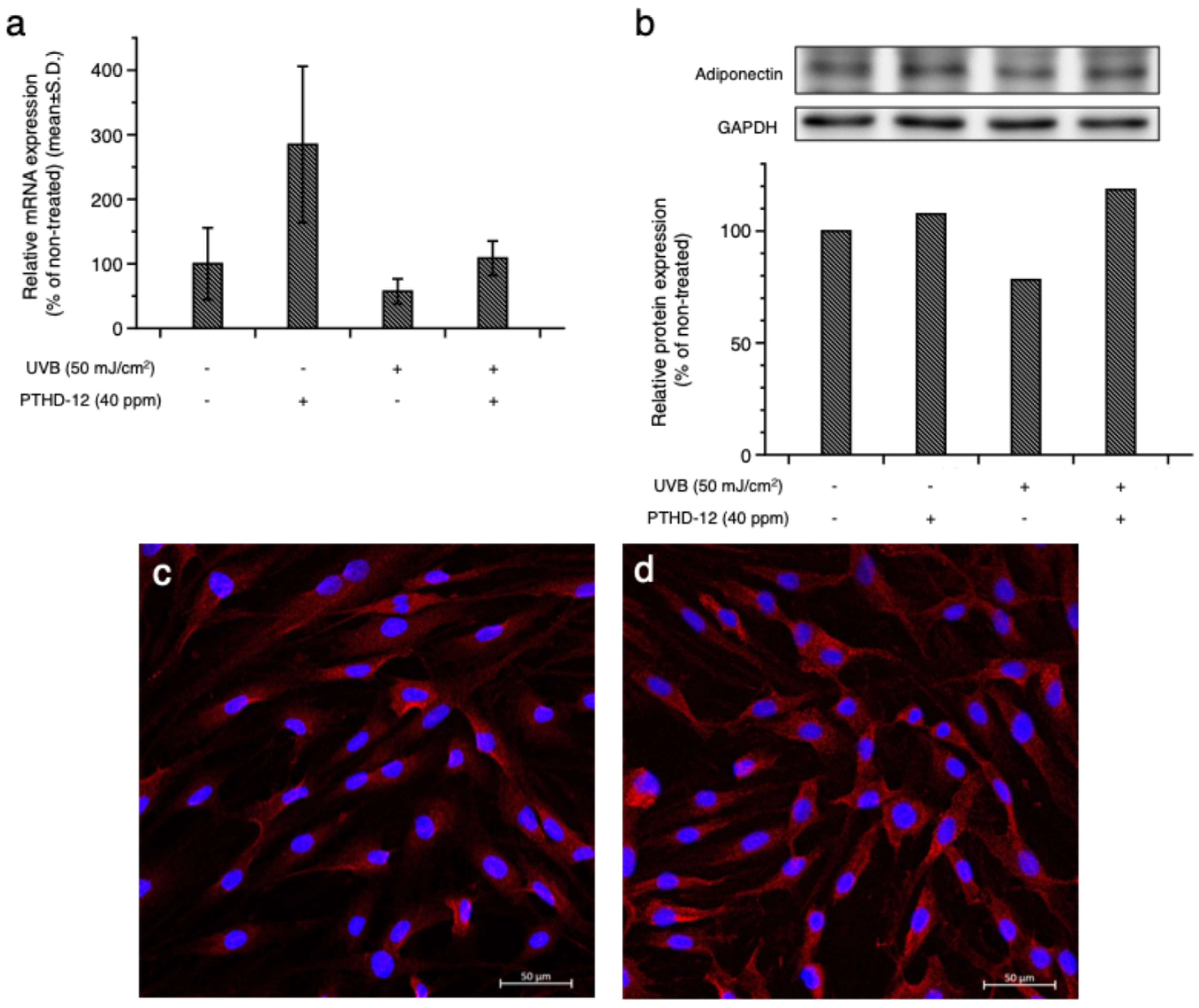 Cosmetics 12 00054 g001
