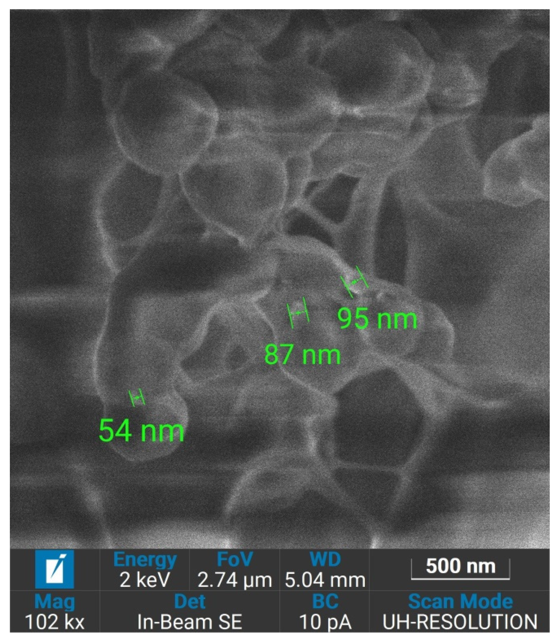 Cosmetics 12 00055 g001