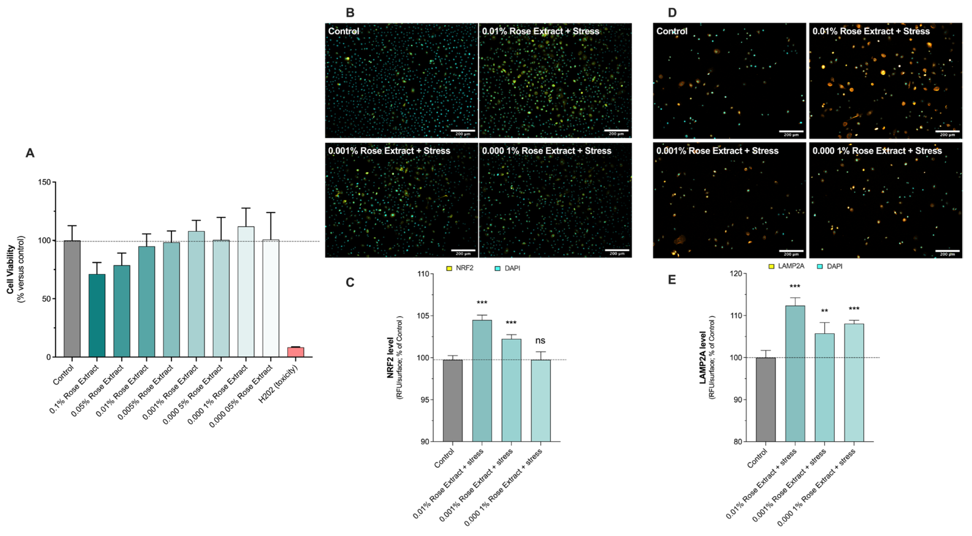 Cosmetics 12 00057 g001