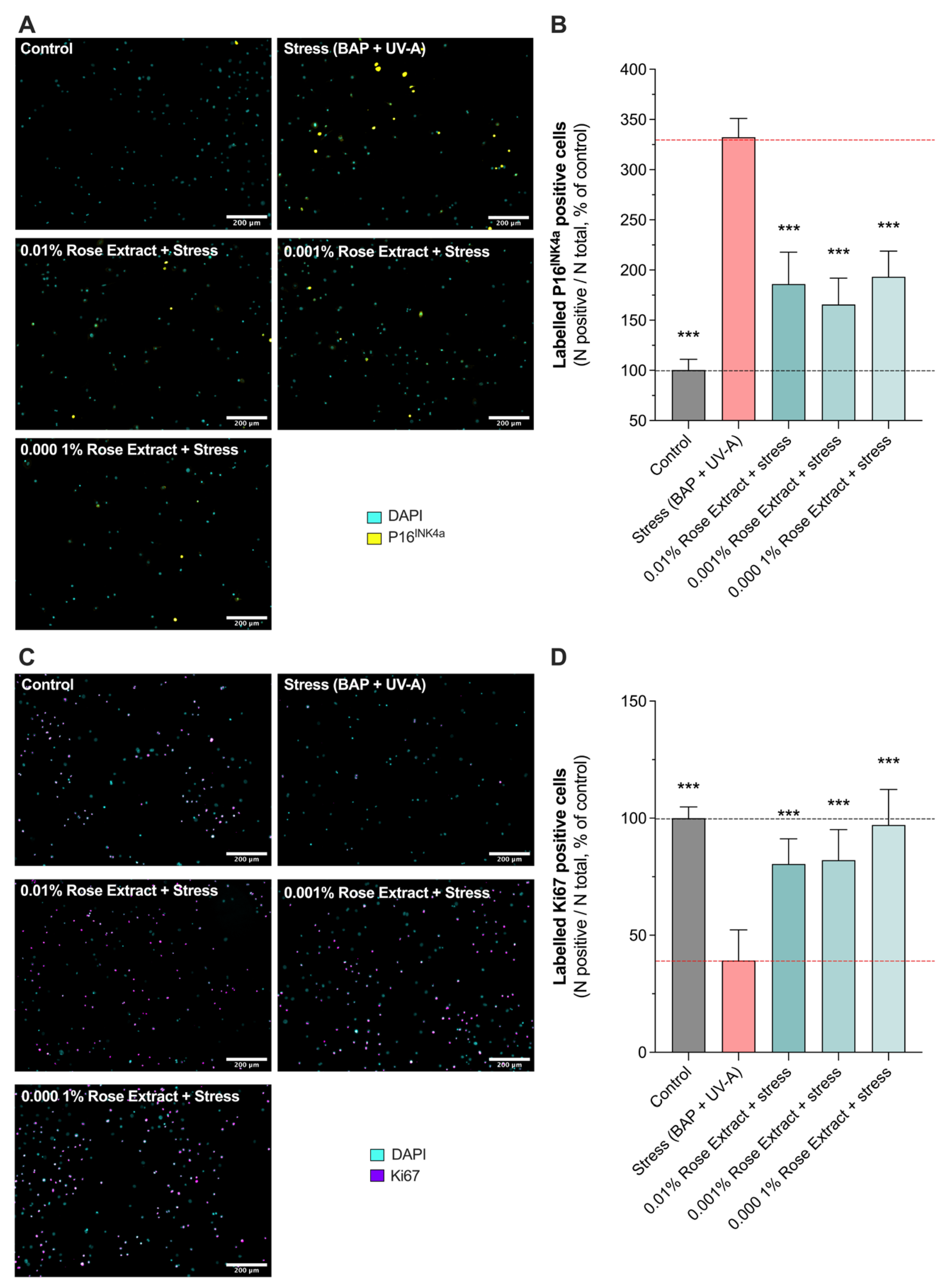 Cosmetics 12 00057 g003