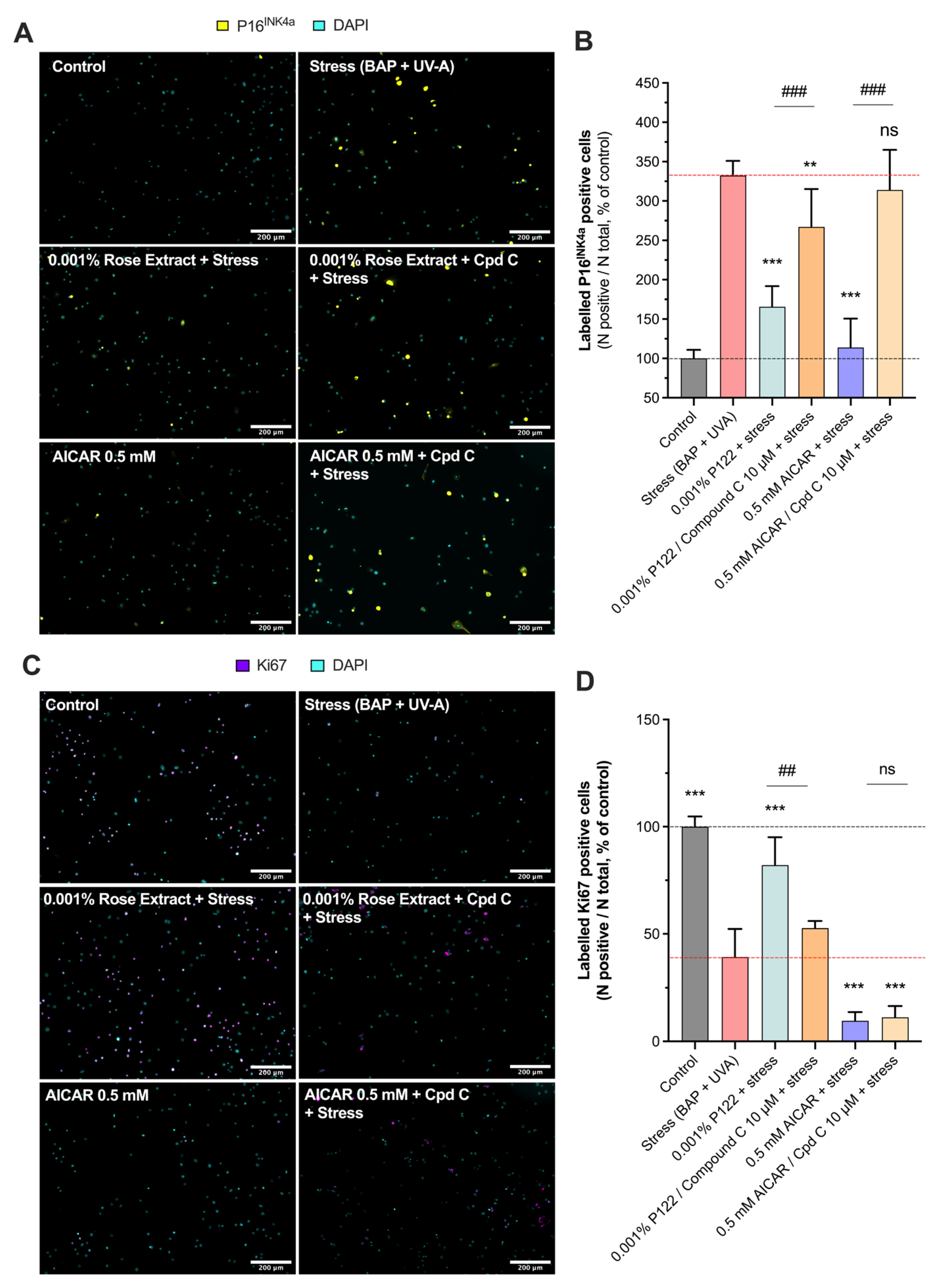 Cosmetics 12 00057 g005