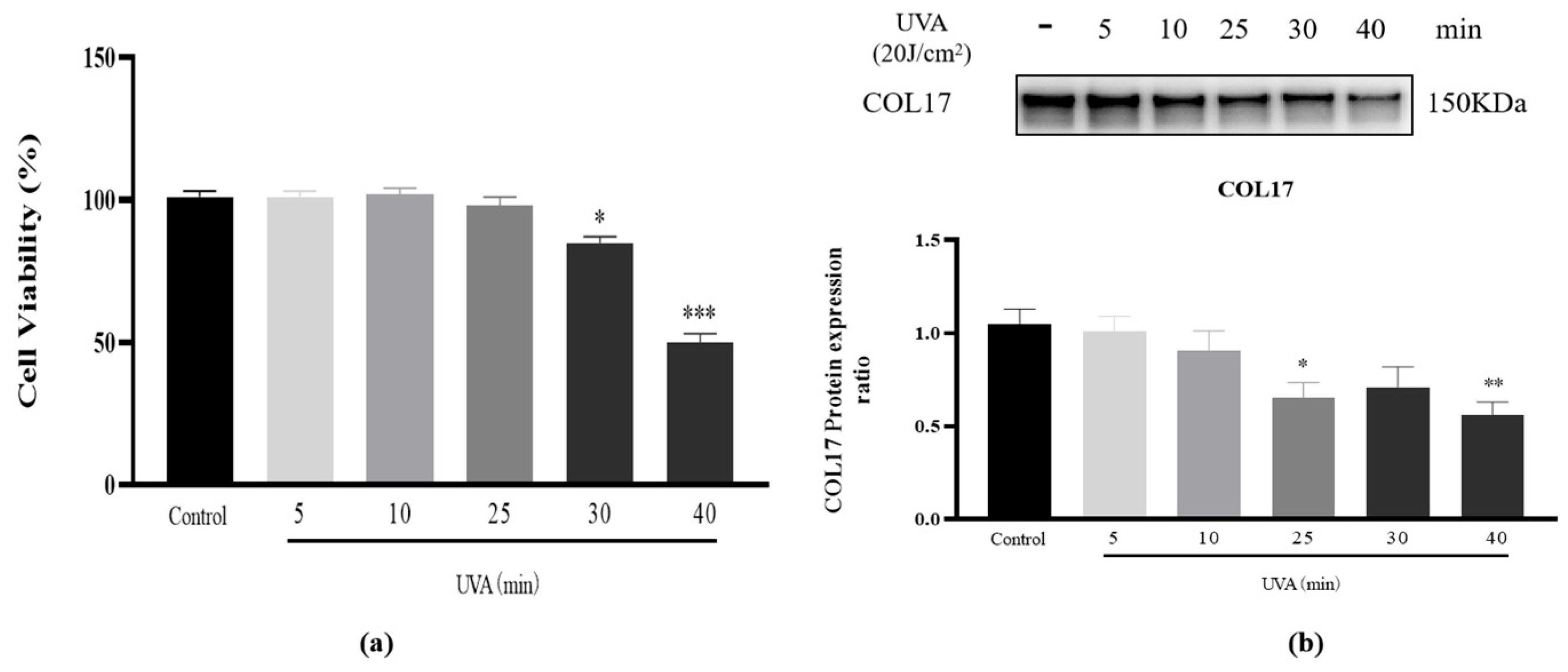 Cosmetics 12 00059 g002