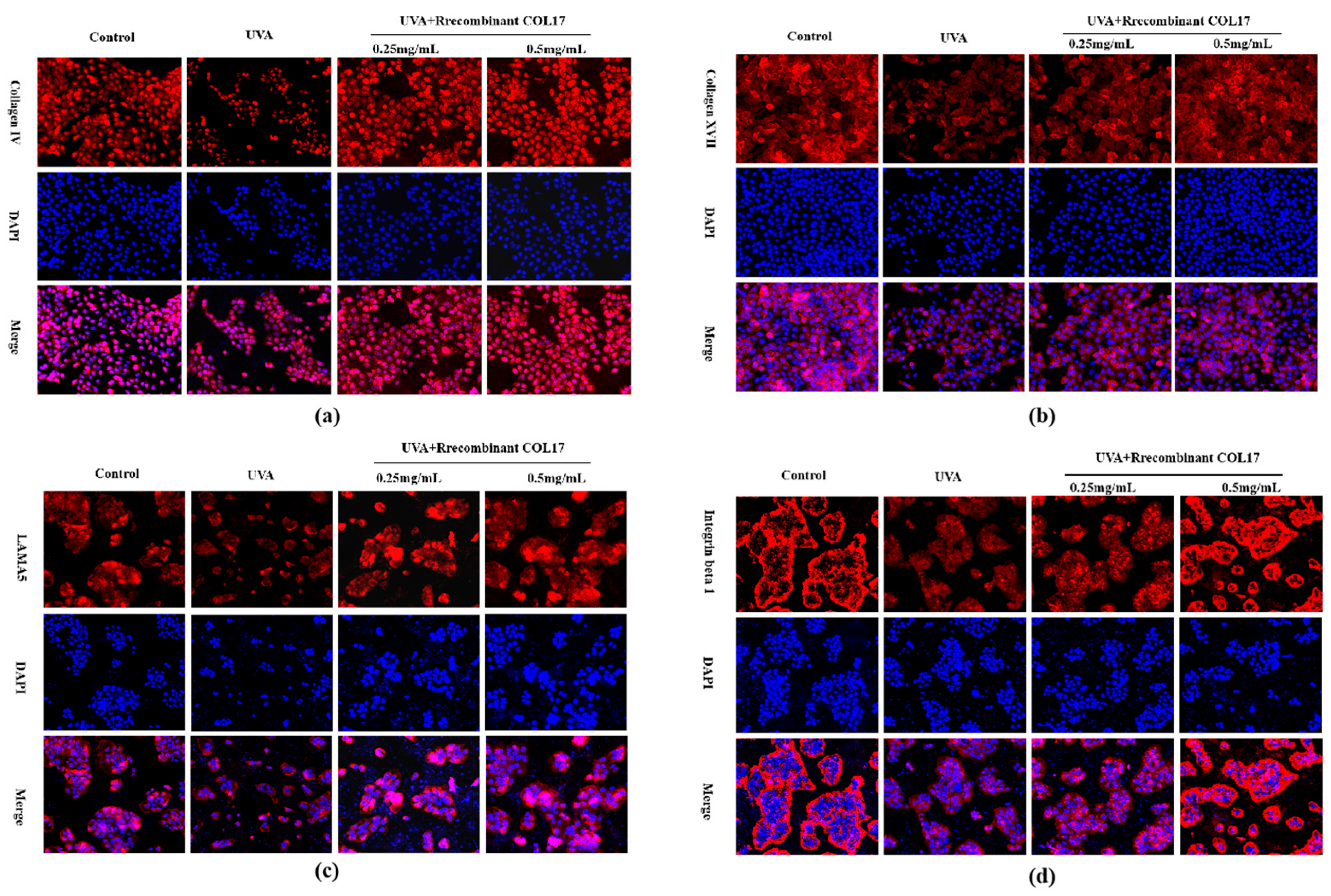 Cosmetics 12 00059 g007