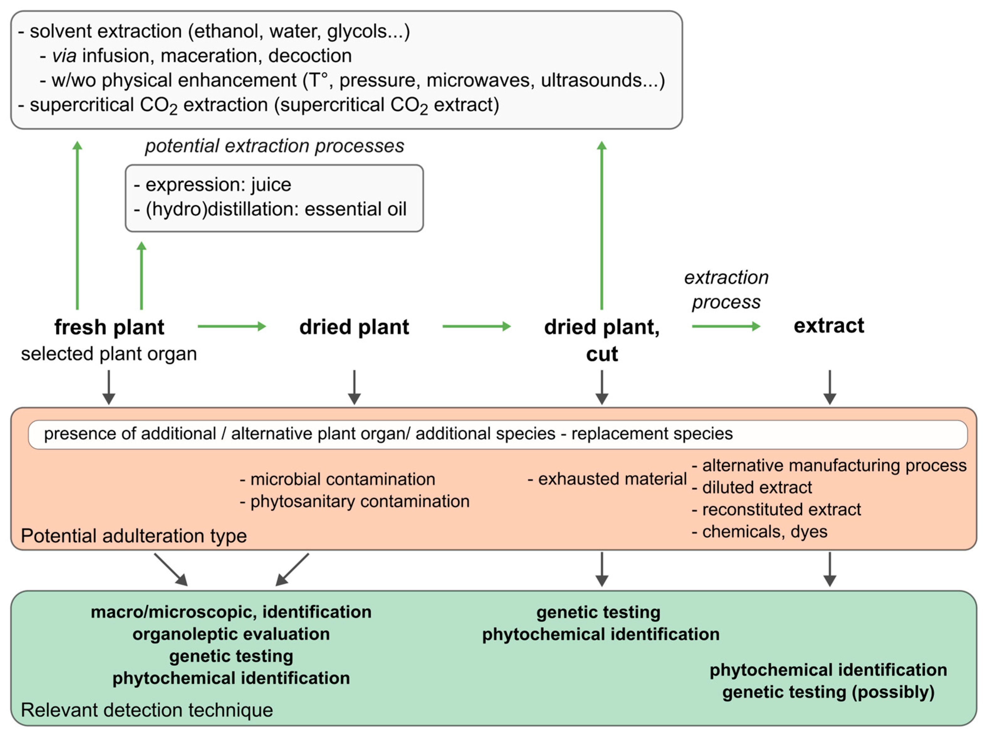 Cosmetics 12 00063 g001