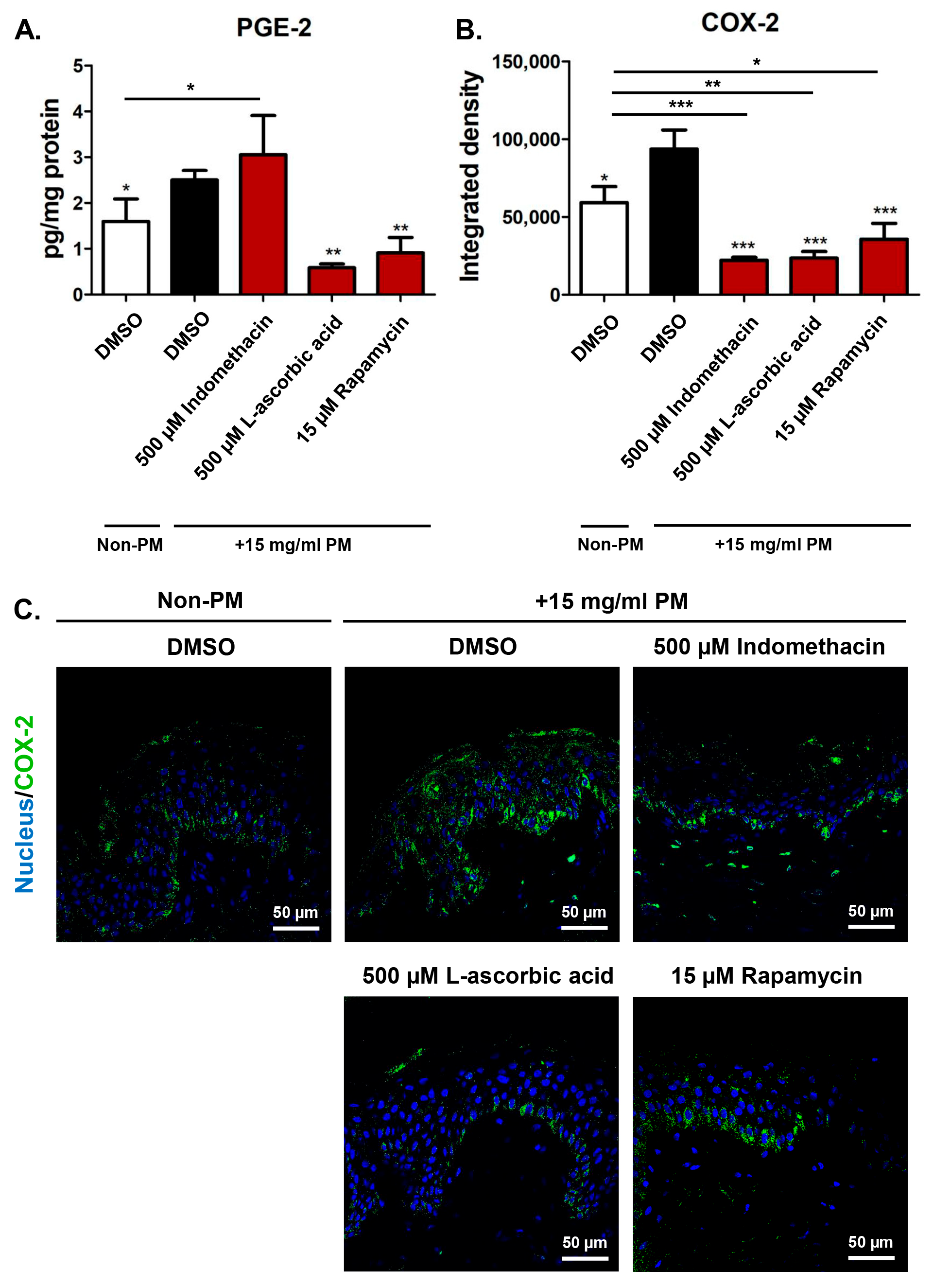 Cosmetics 12 00064 g003