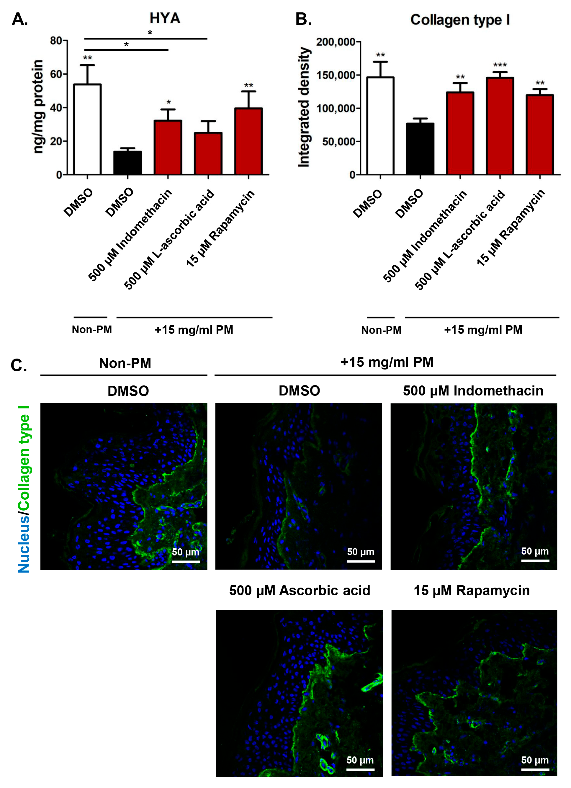 Cosmetics 12 00064 g005