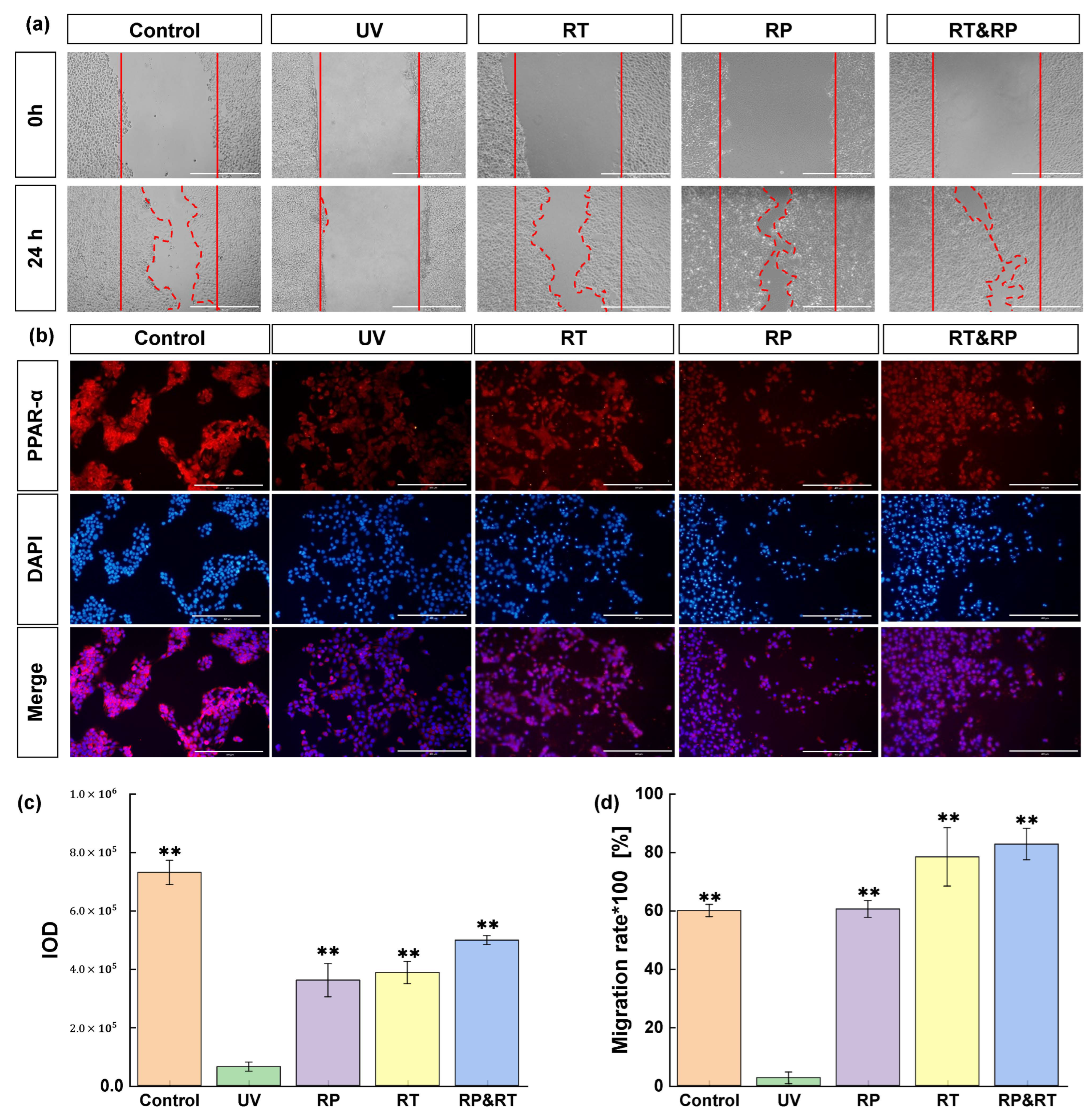 Cosmetics 12 00068 g001