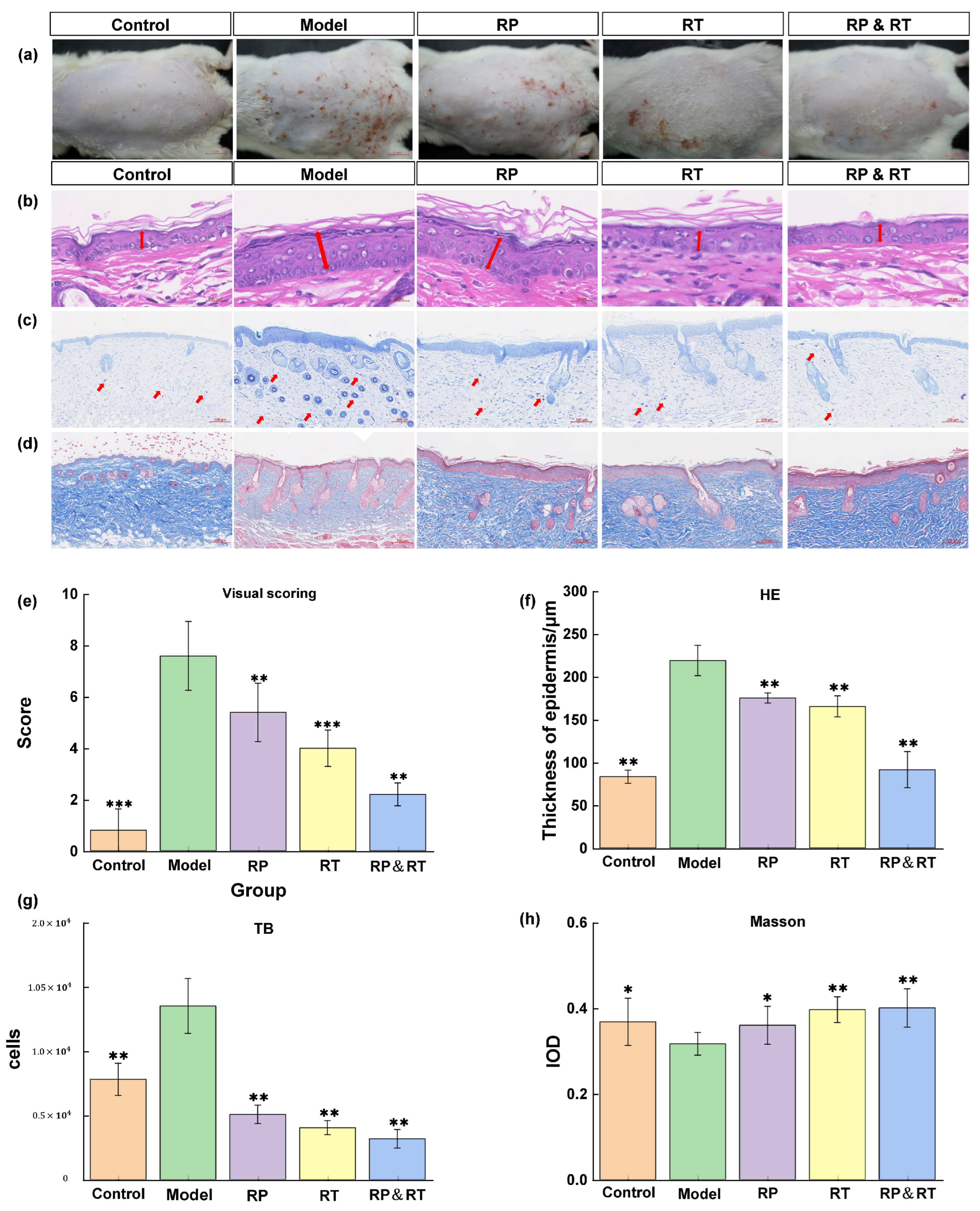 Cosmetics 12 00068 g003