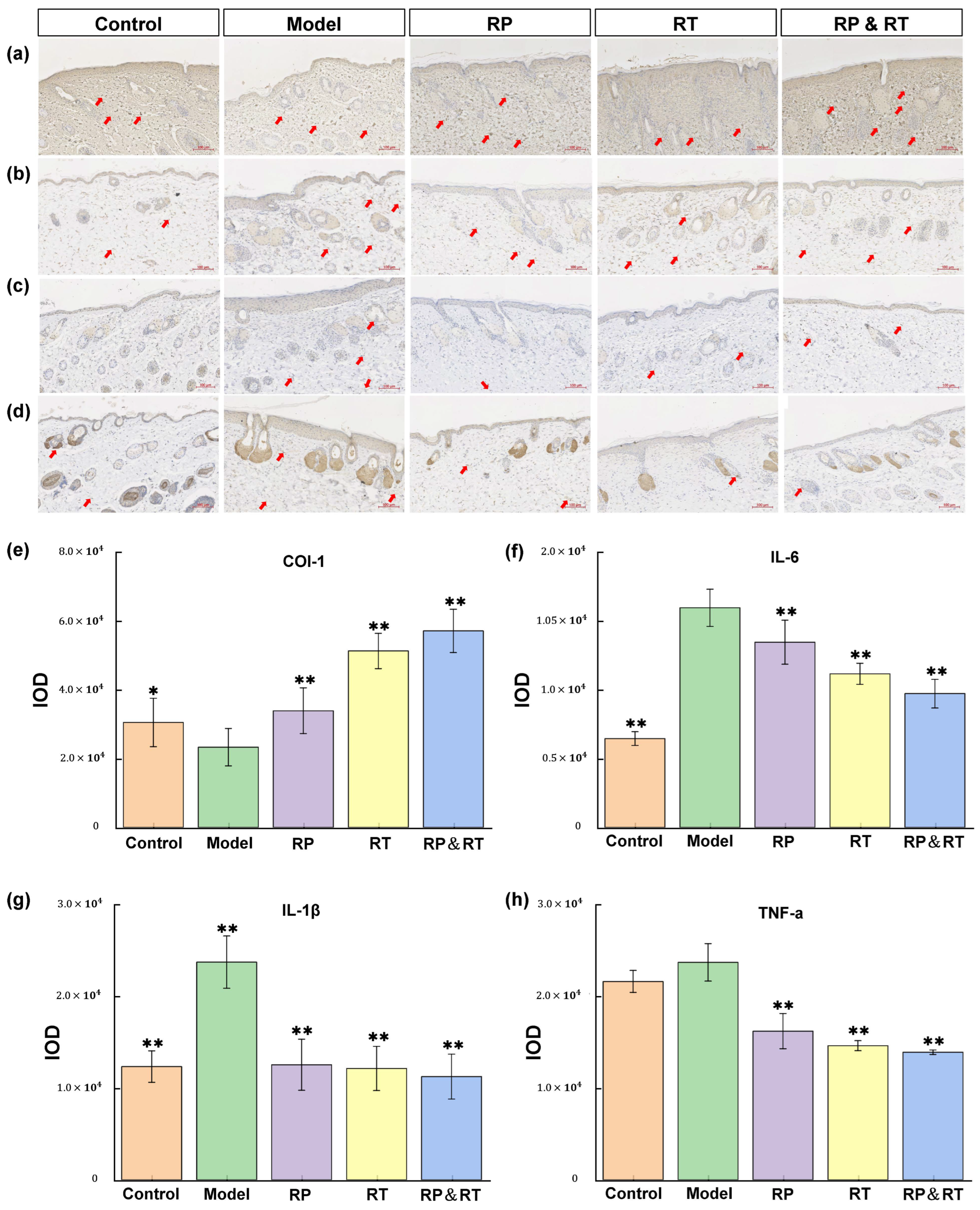 Cosmetics 12 00068 g004