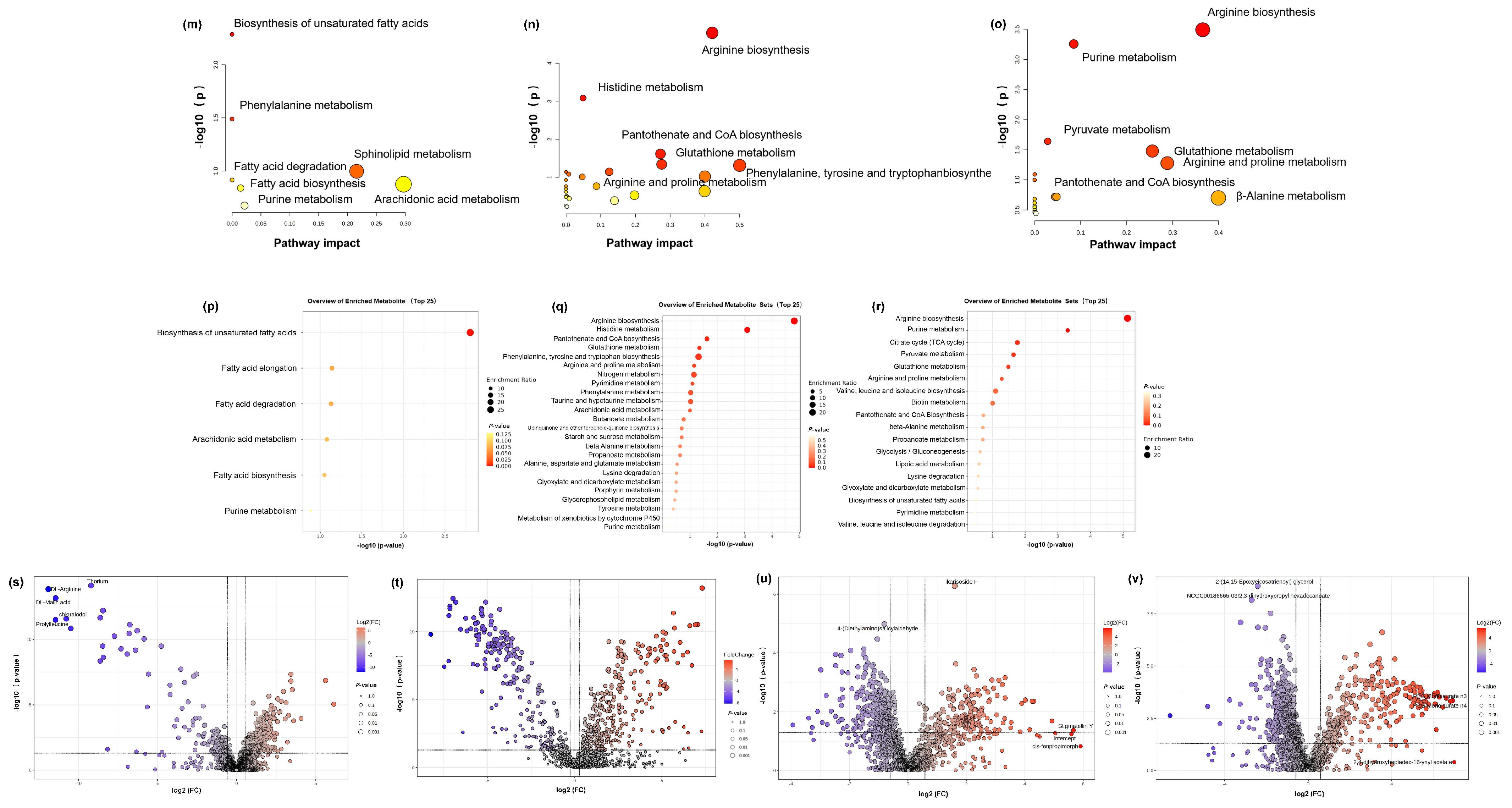 Cosmetics 12 00068 g006b