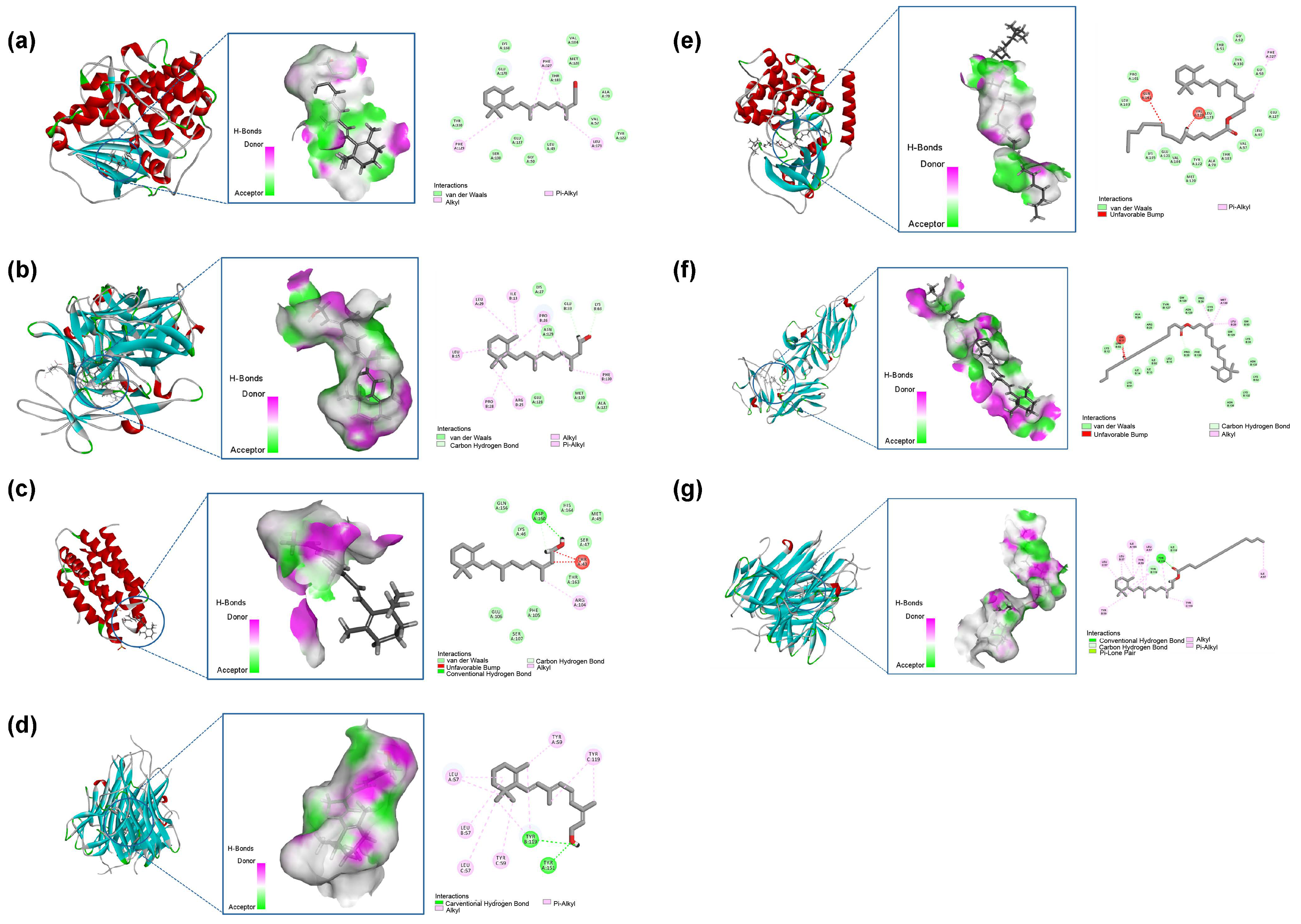 Cosmetics 12 00068 g009