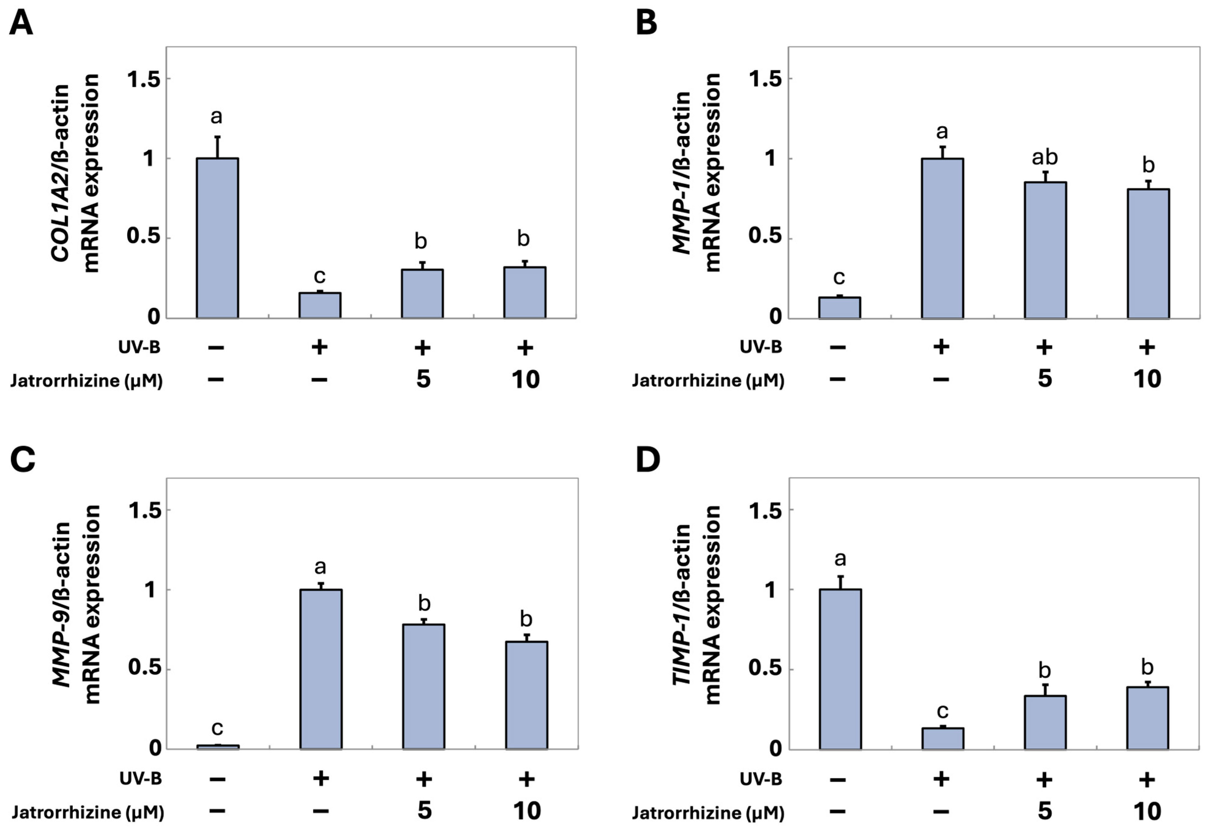 Cosmetics 12 00070 g002