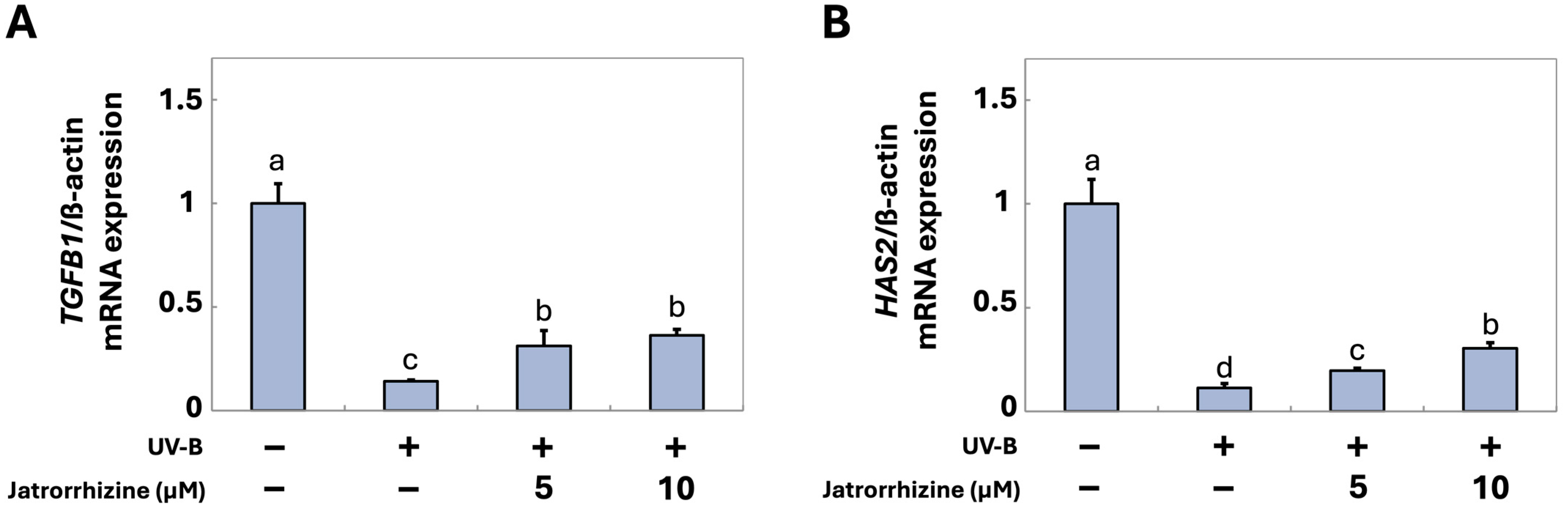 Cosmetics 12 00070 g003