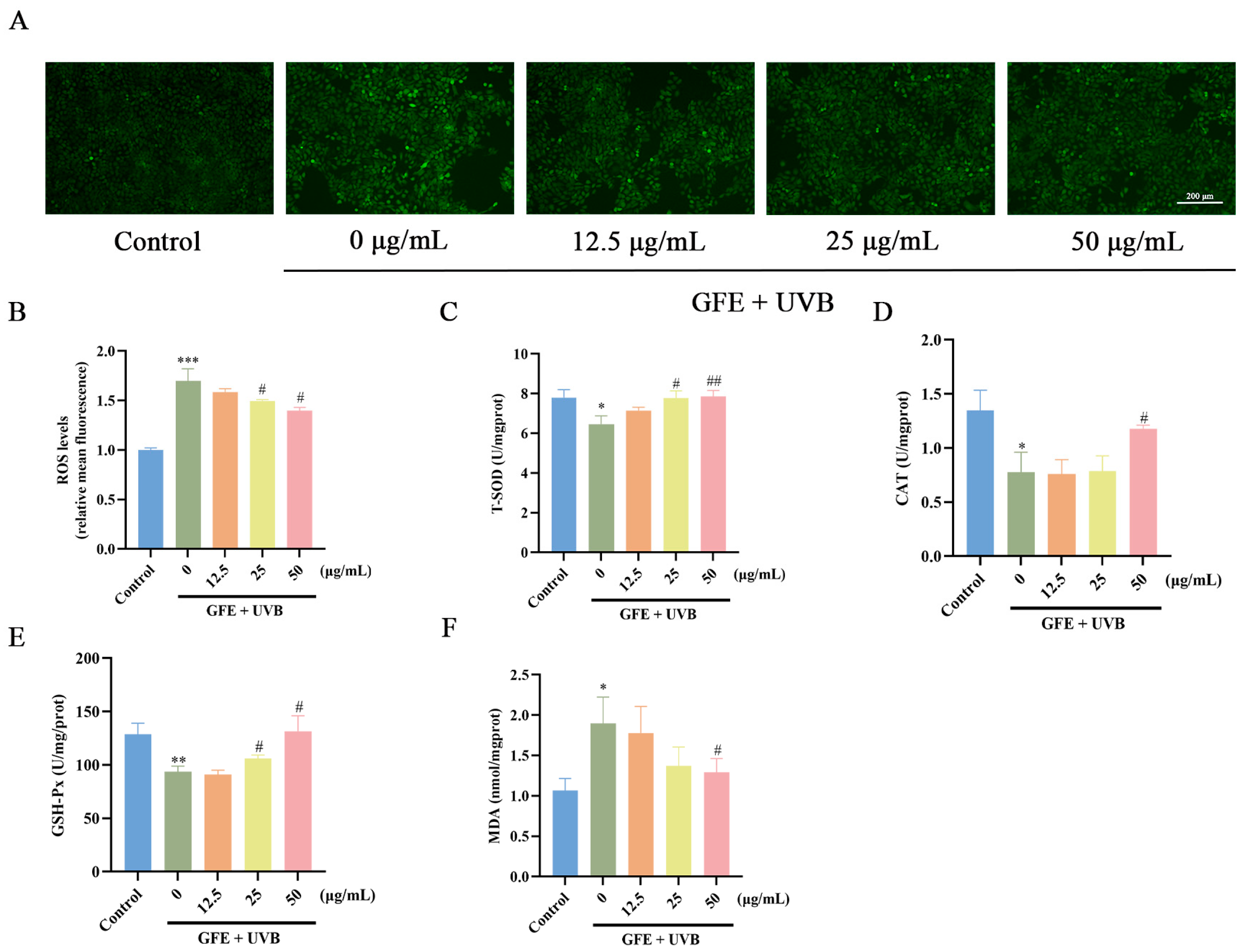 Cosmetics 12 00072 g002
