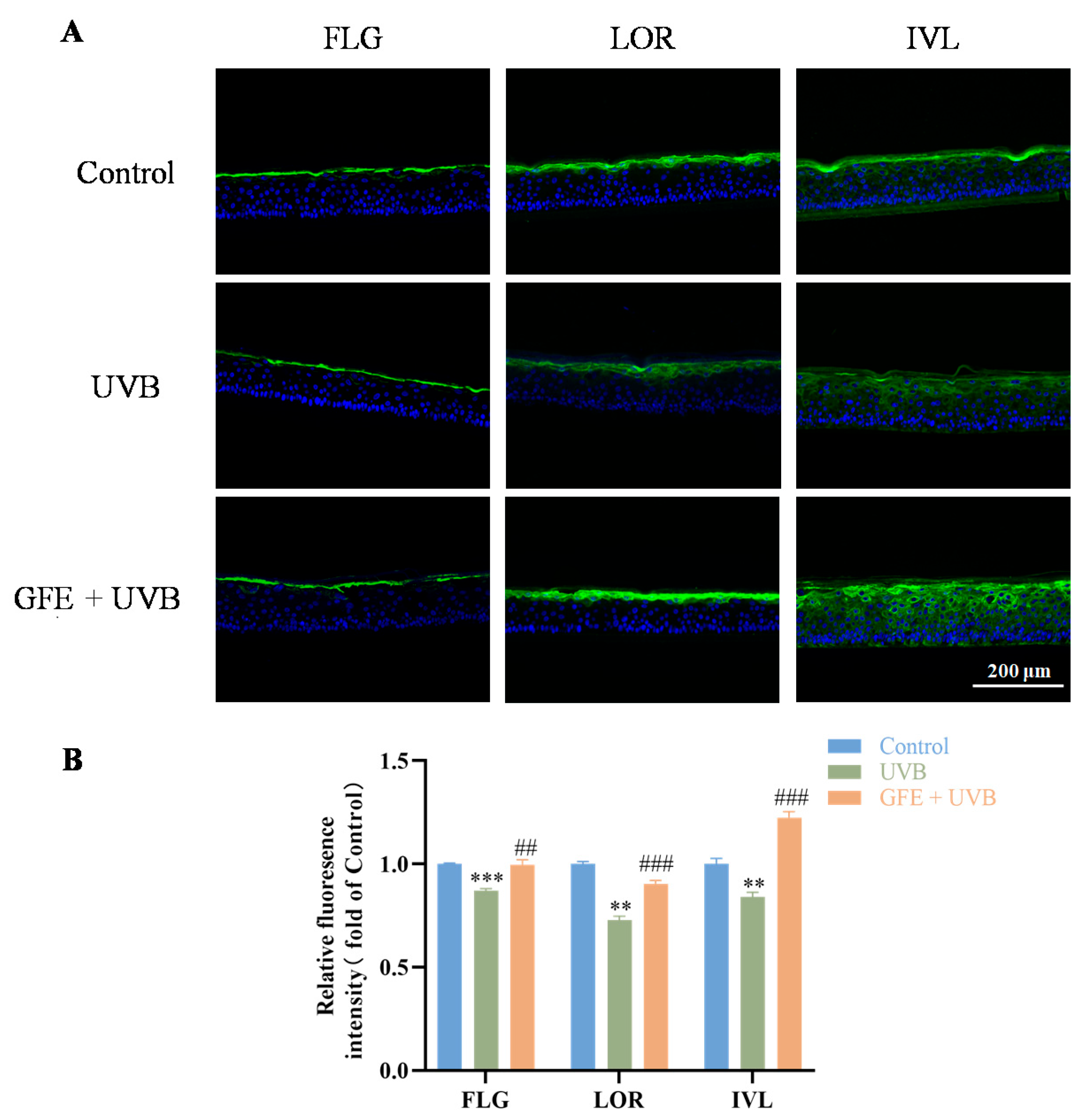 Cosmetics 12 00072 g004
