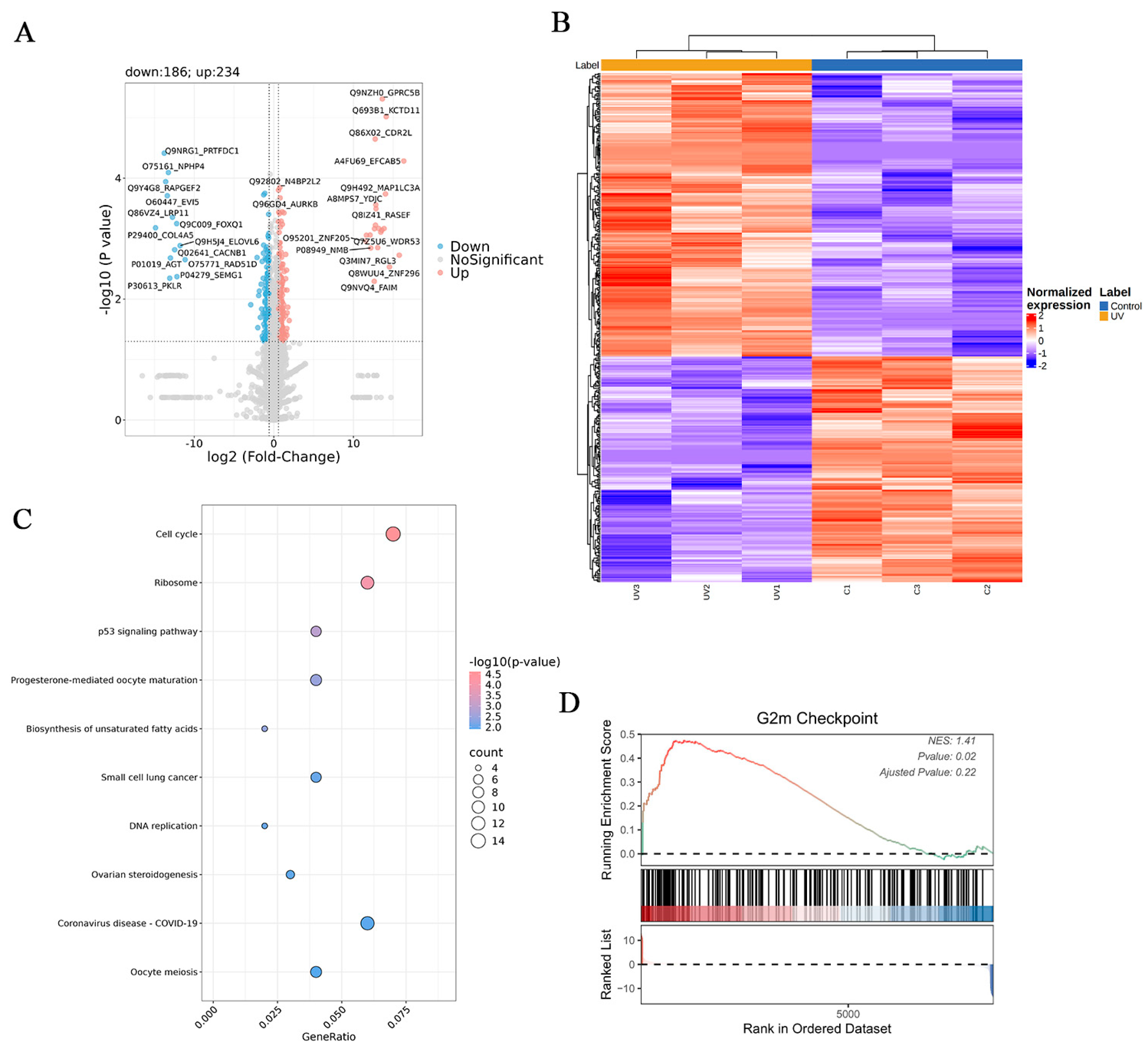 Cosmetics 12 00072 g005
