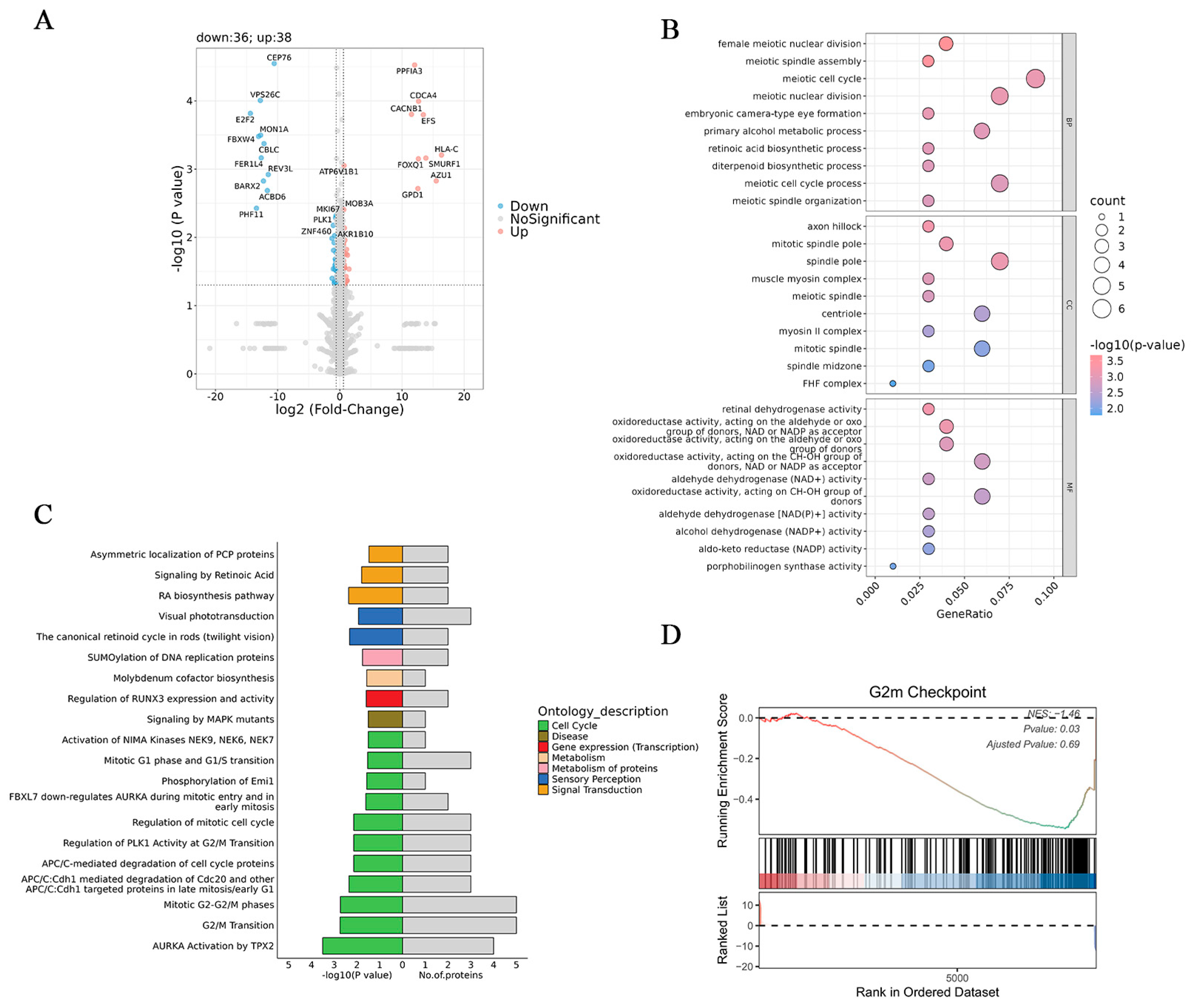 Cosmetics 12 00072 g006