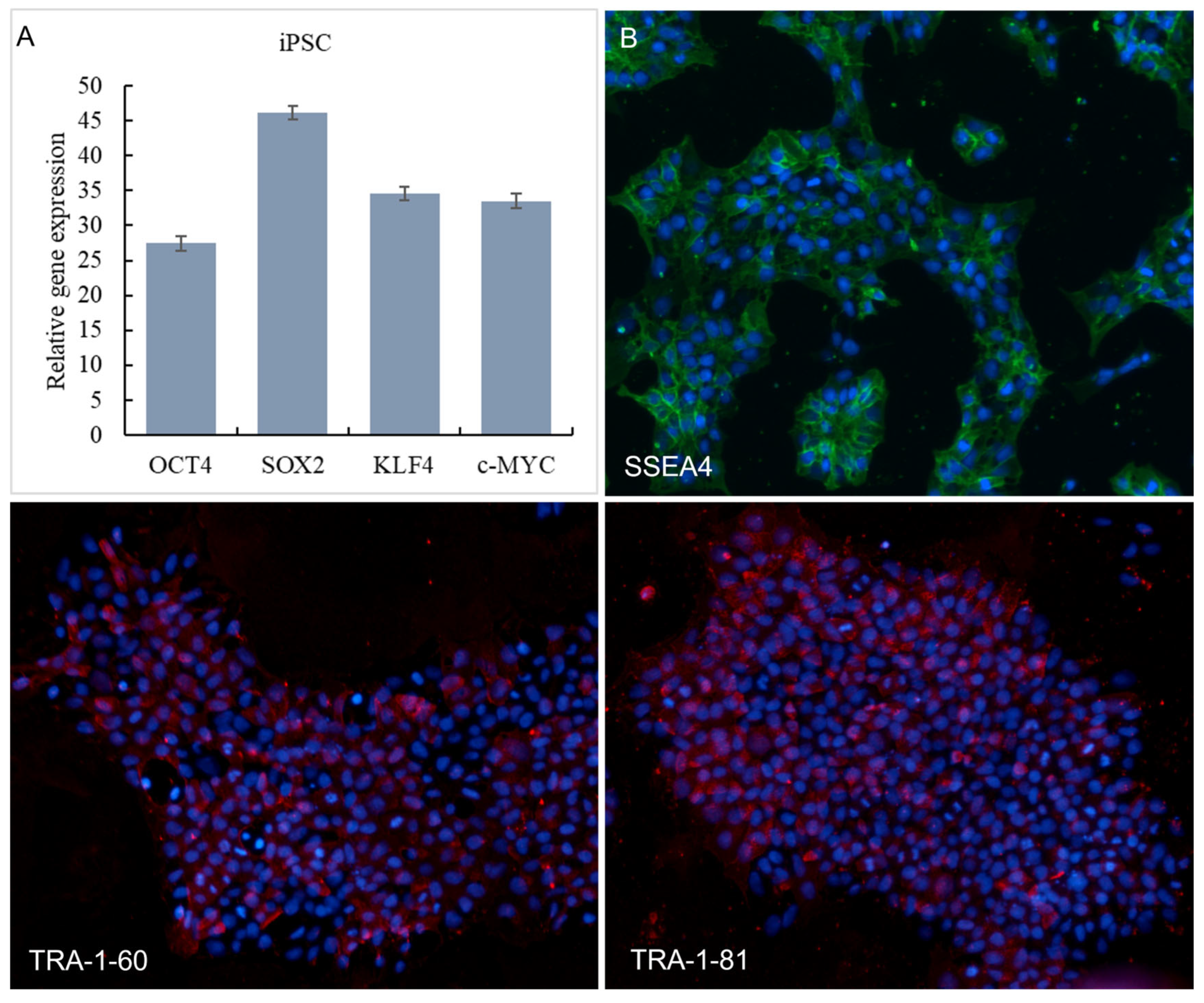 Cosmetics 12 00075 g001