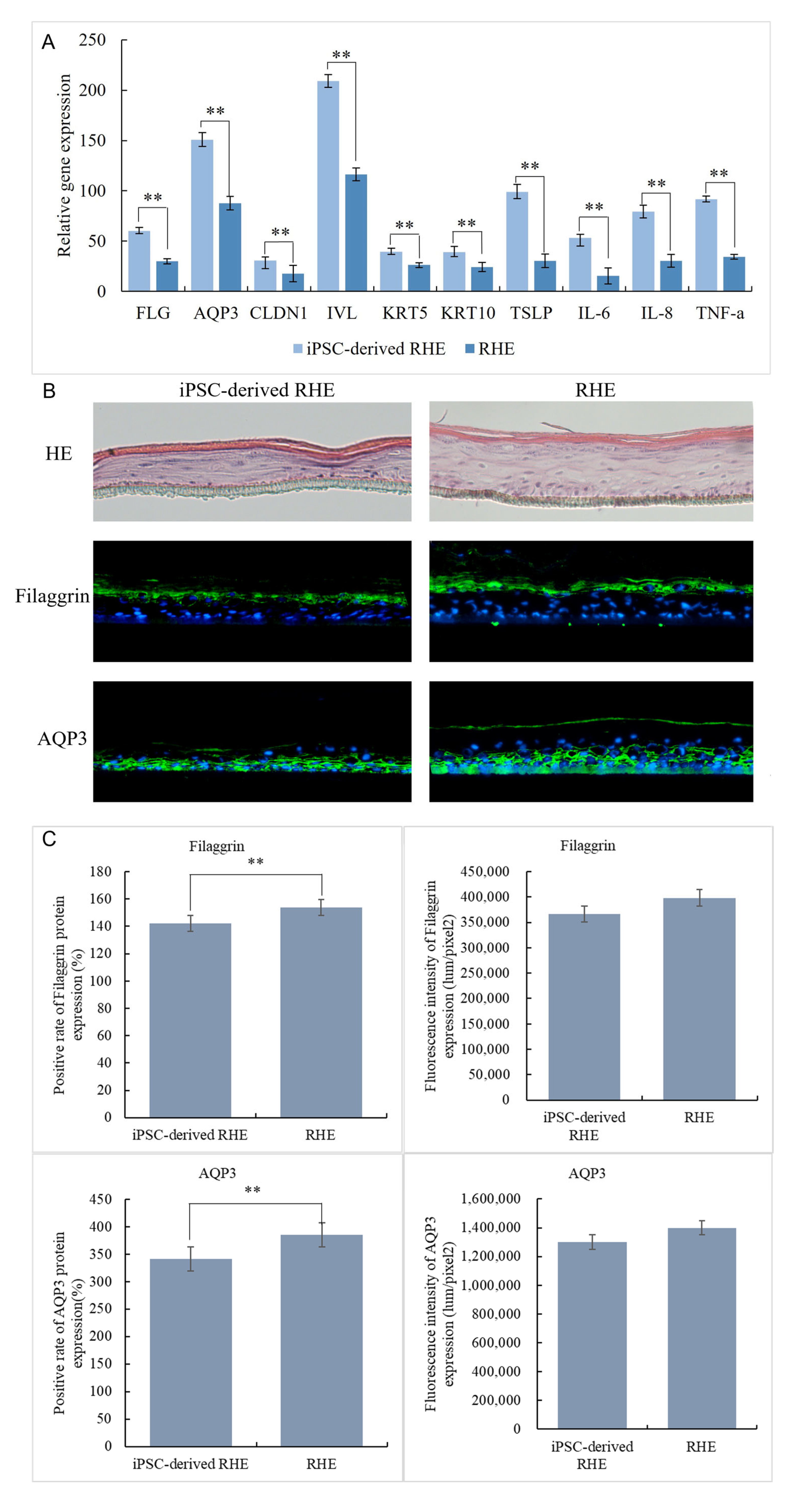 Cosmetics 12 00075 g005