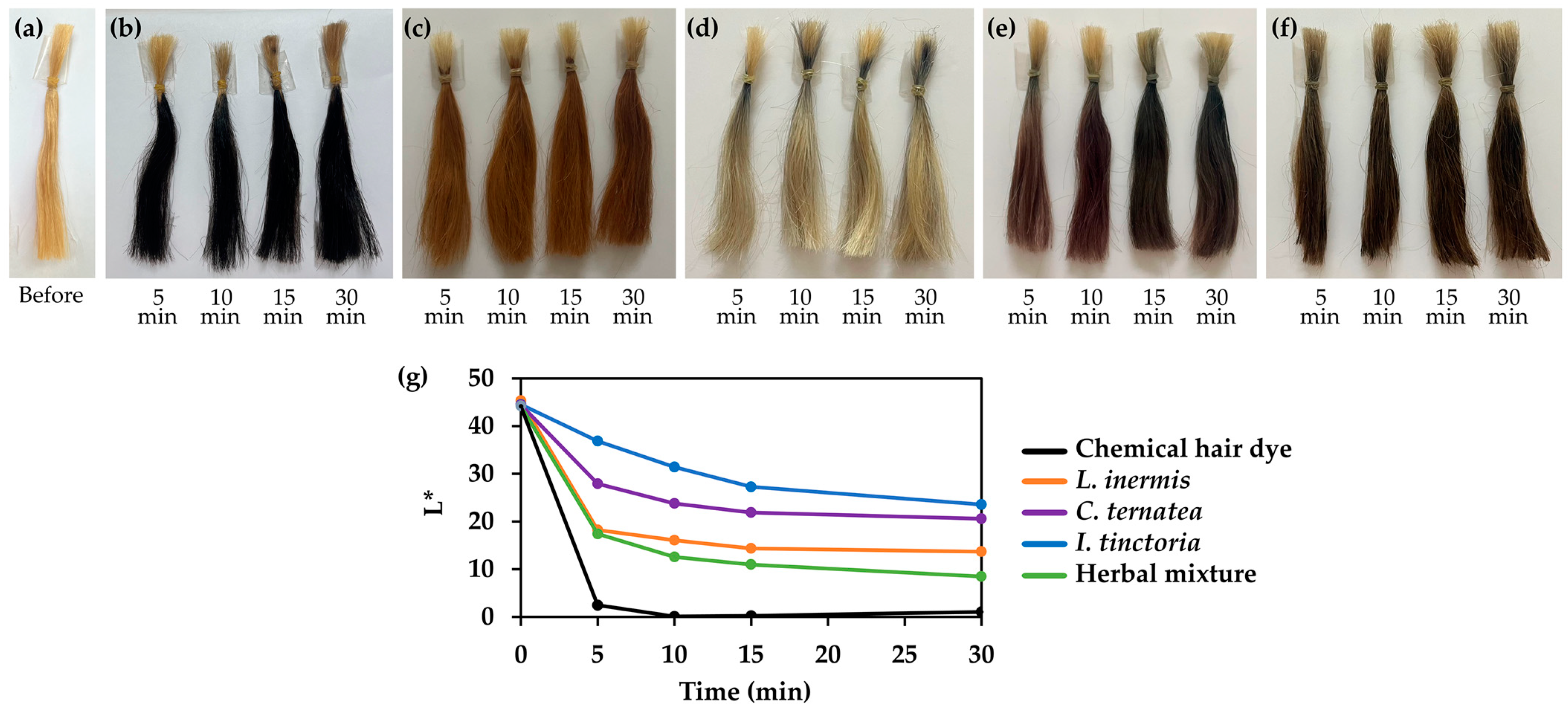 Cosmetics 12 00078 g011