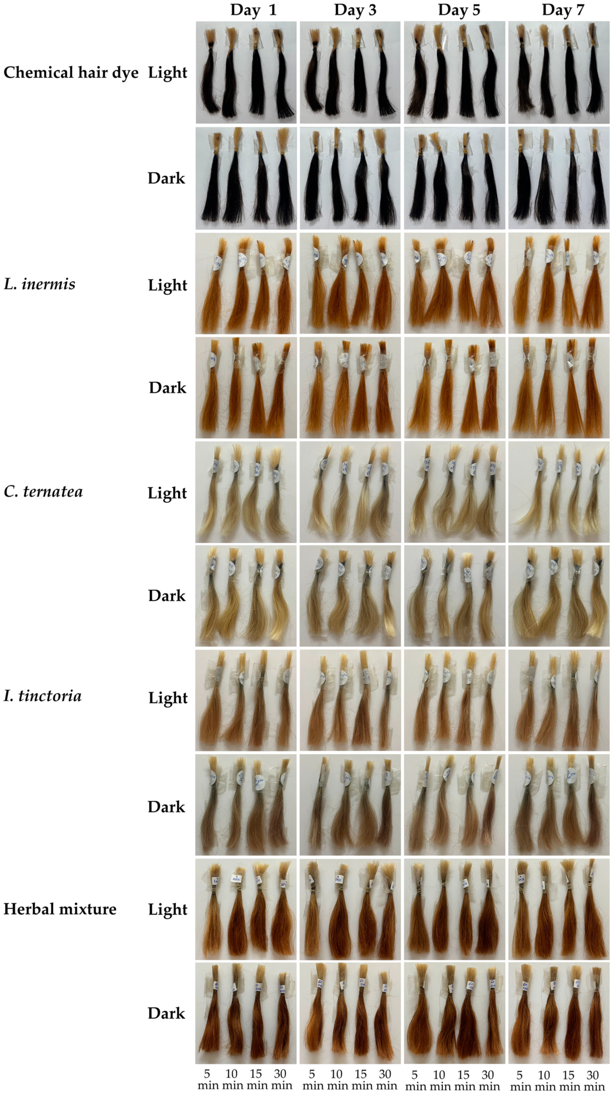Cosmetics 12 00078 g014