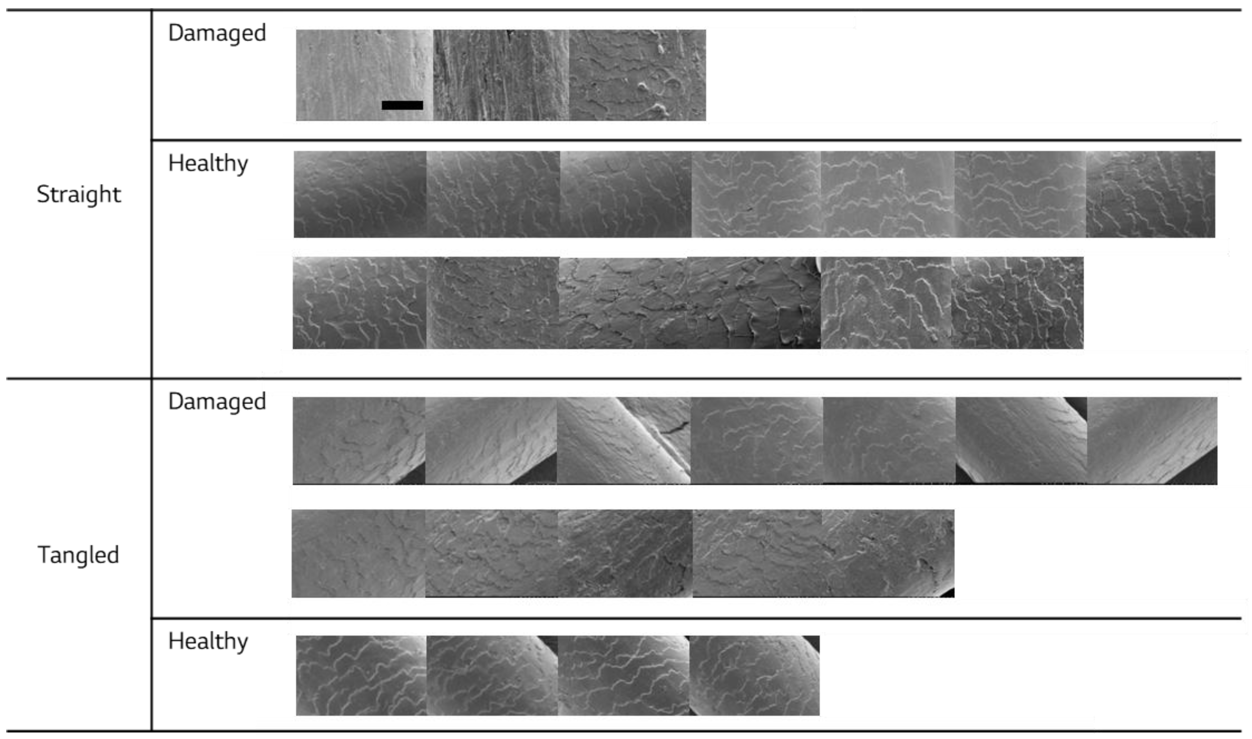 Cosmetics 12 00082 g005