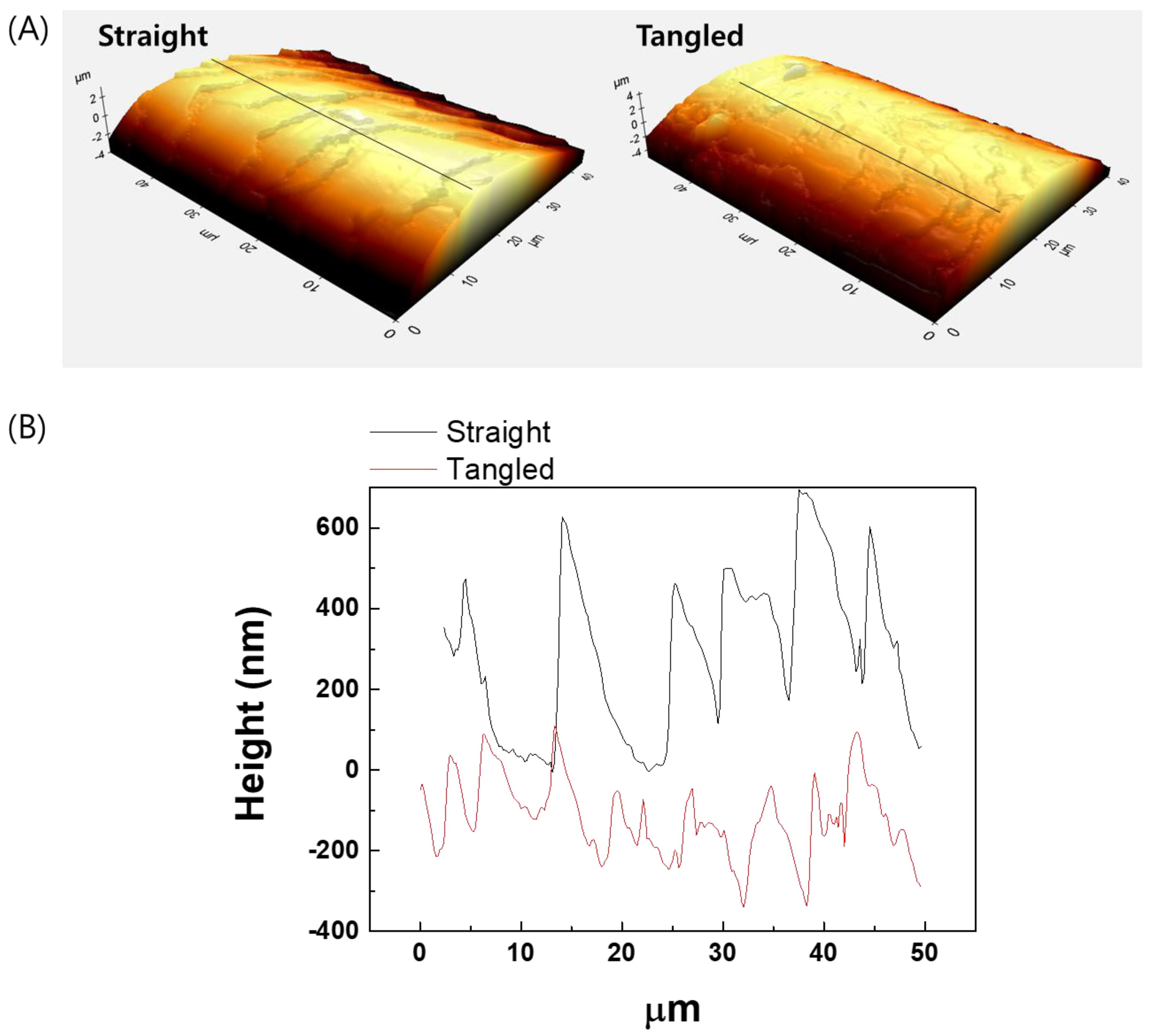 Cosmetics 12 00082 g006