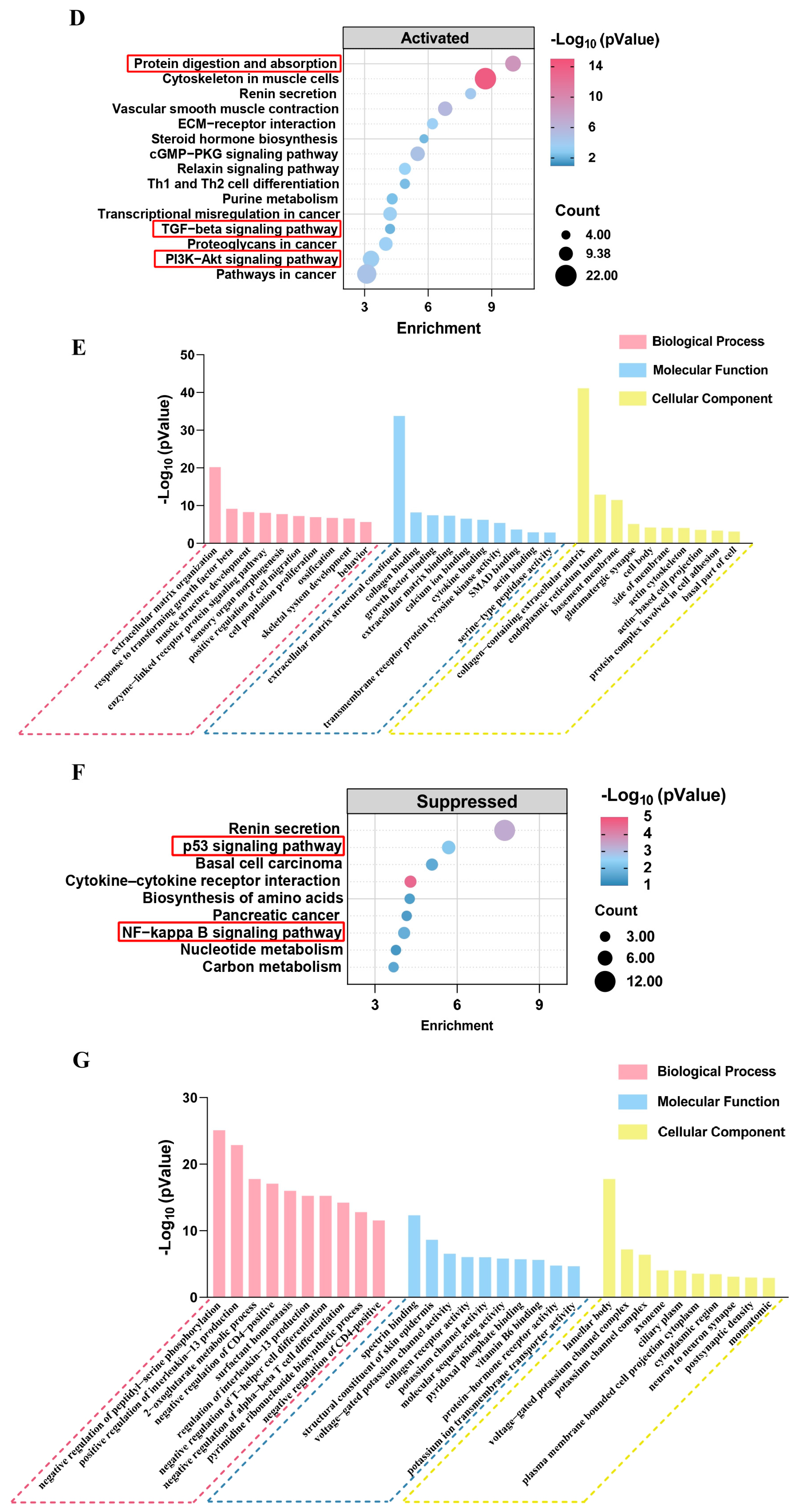 Cosmetics 12 00085 g005b