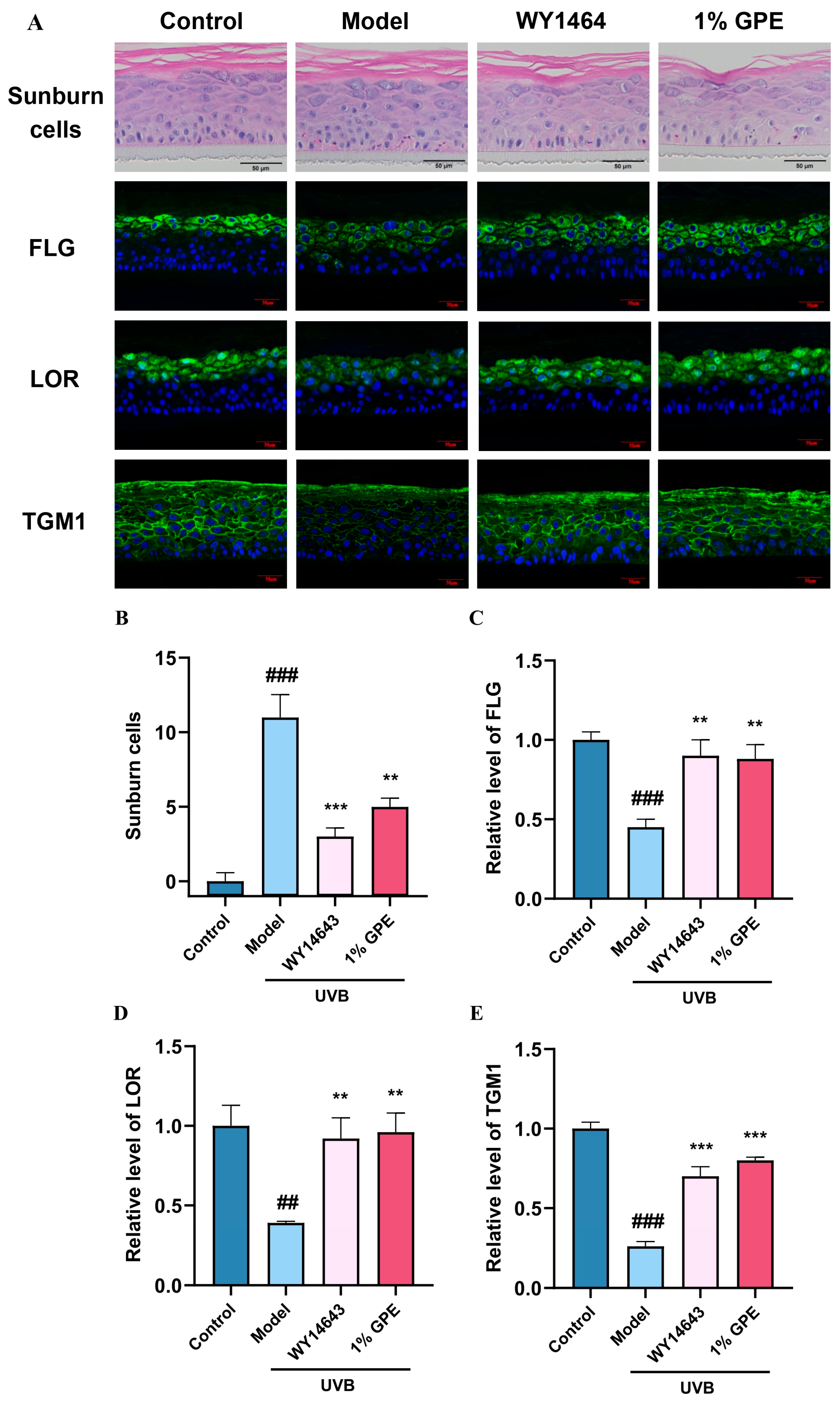 Cosmetics 12 00085 g006