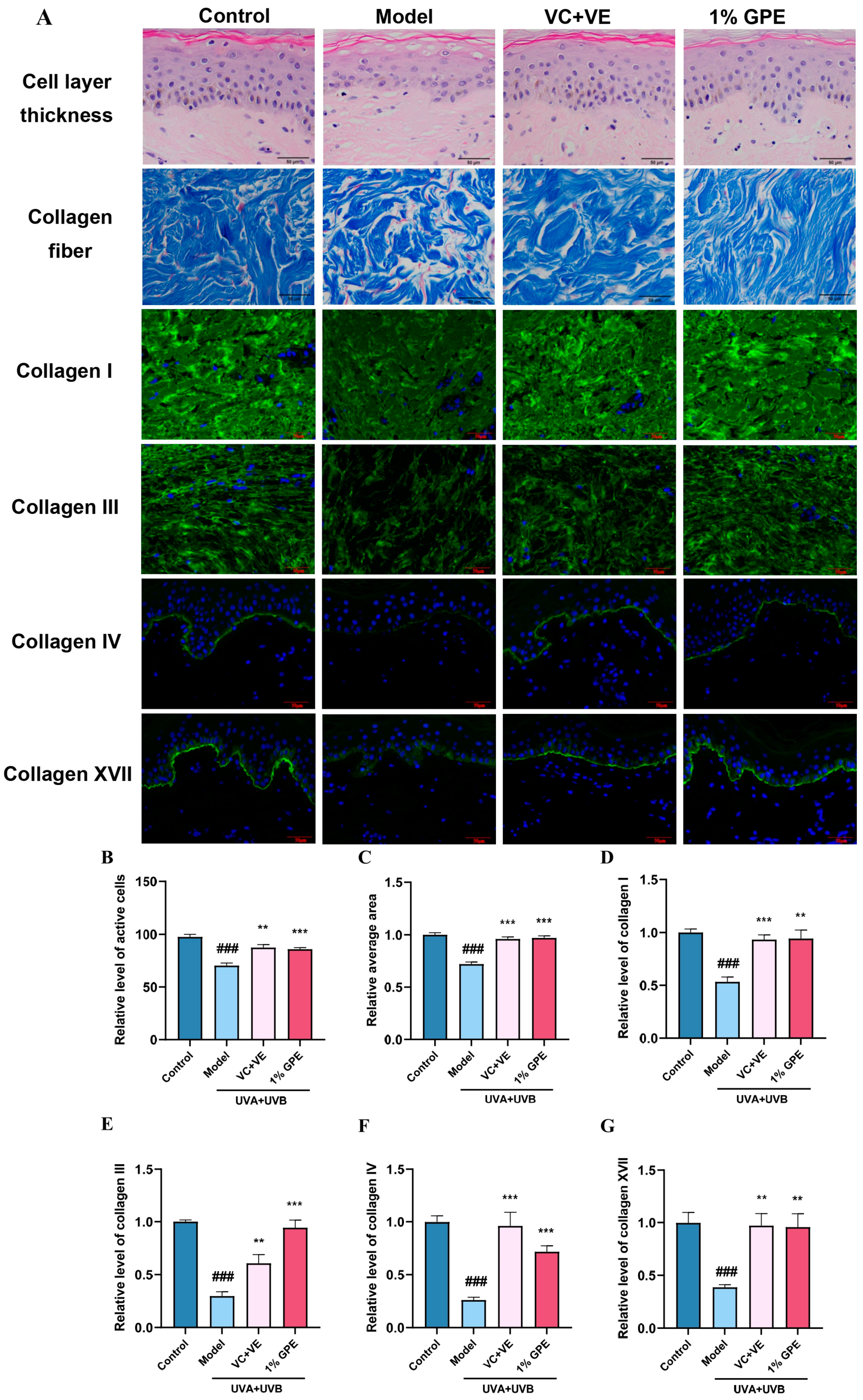 Cosmetics 12 00085 g007