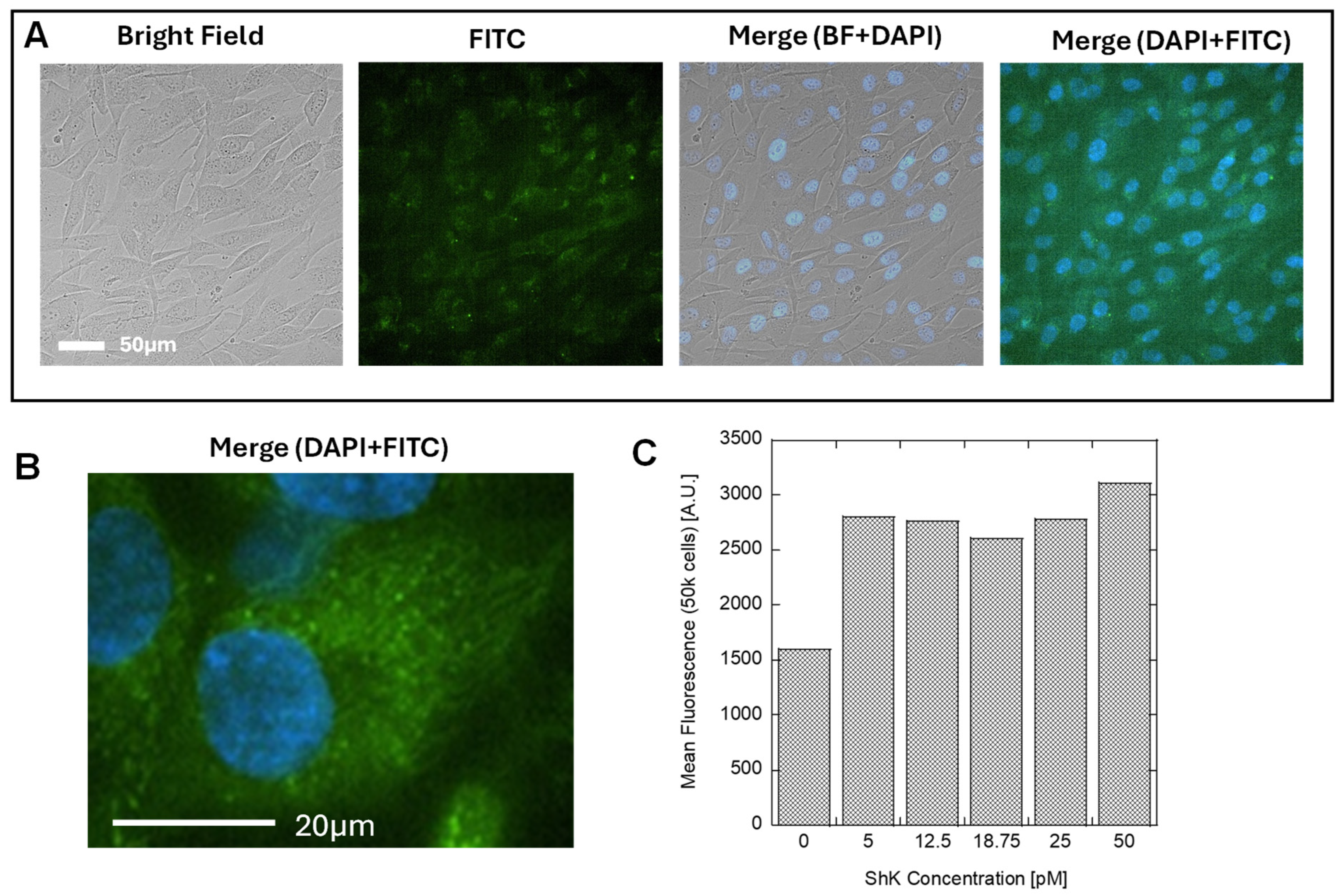 Cosmetics 12 00086 g005