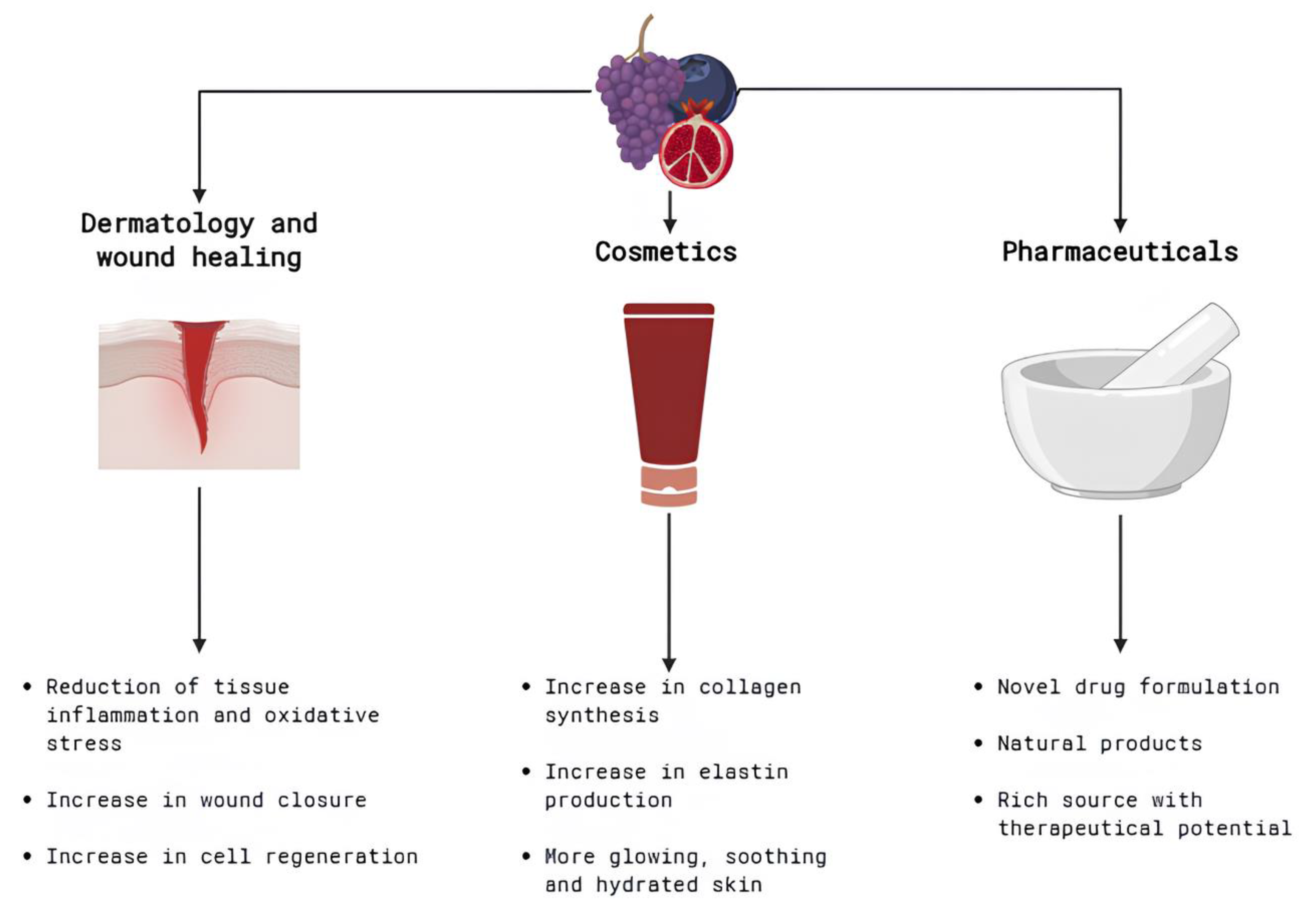 Cosmetics 12 00087 g005