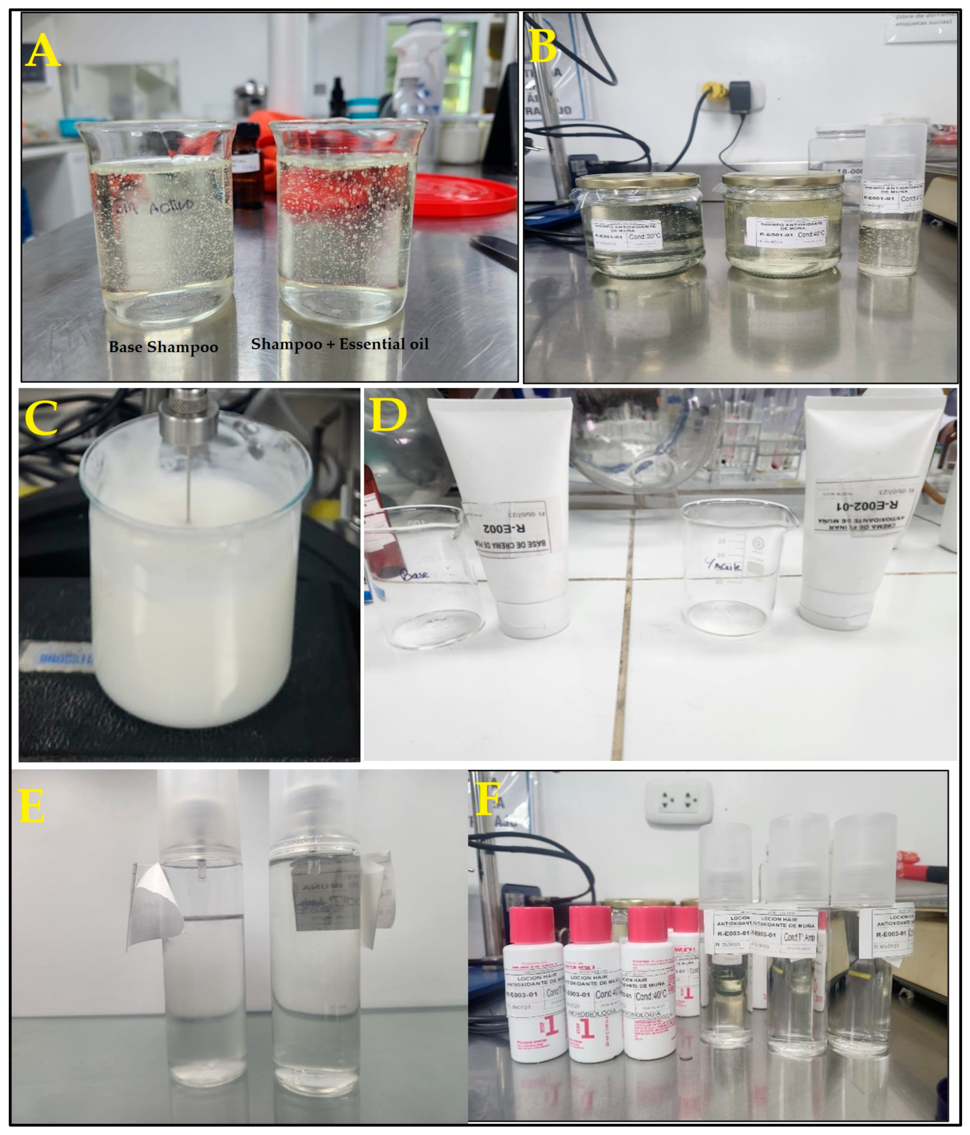 Cosmetics 12 00088 g002