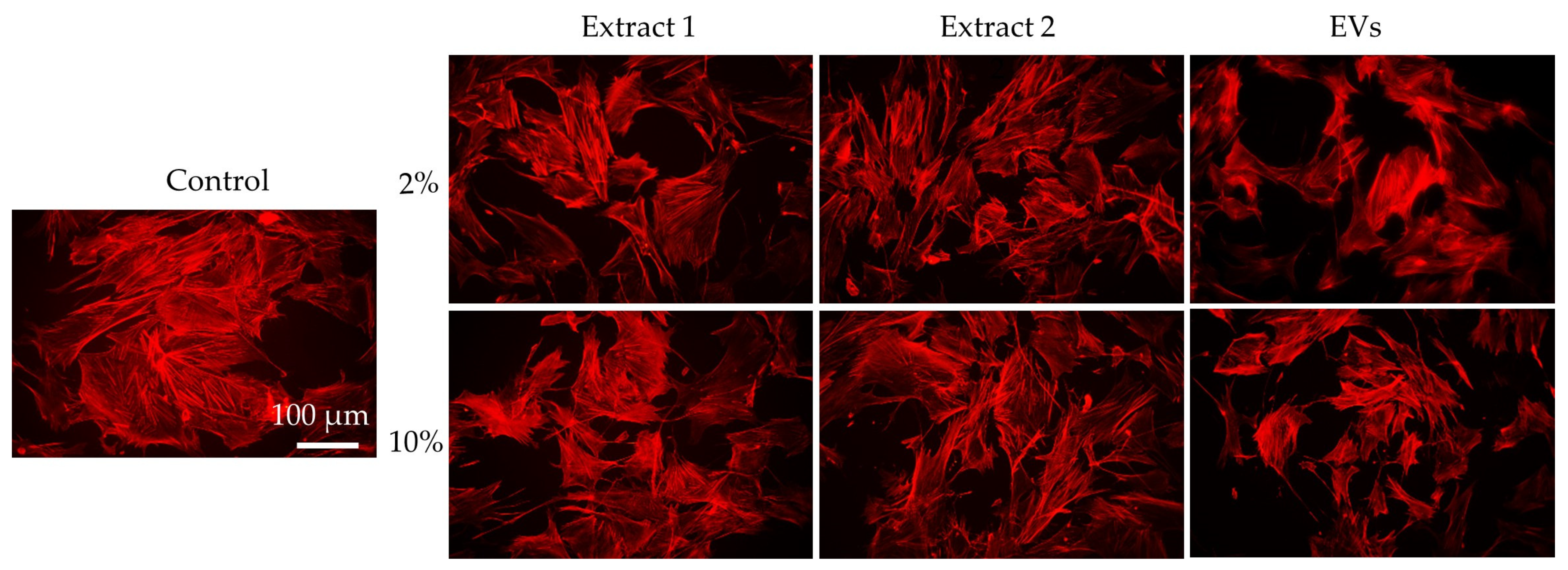 Cosmetics 12 00090 g004