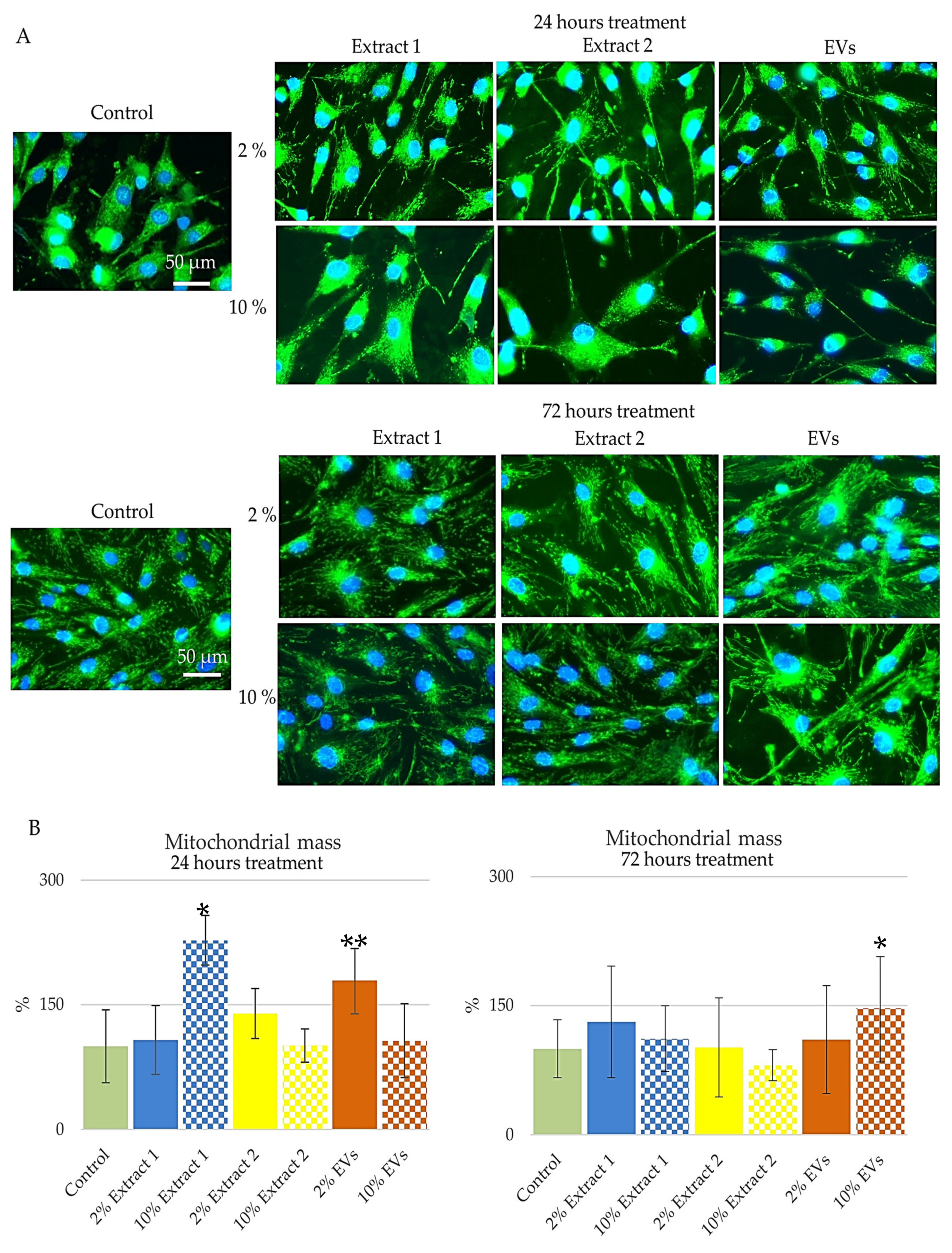 Cosmetics 12 00090 g005