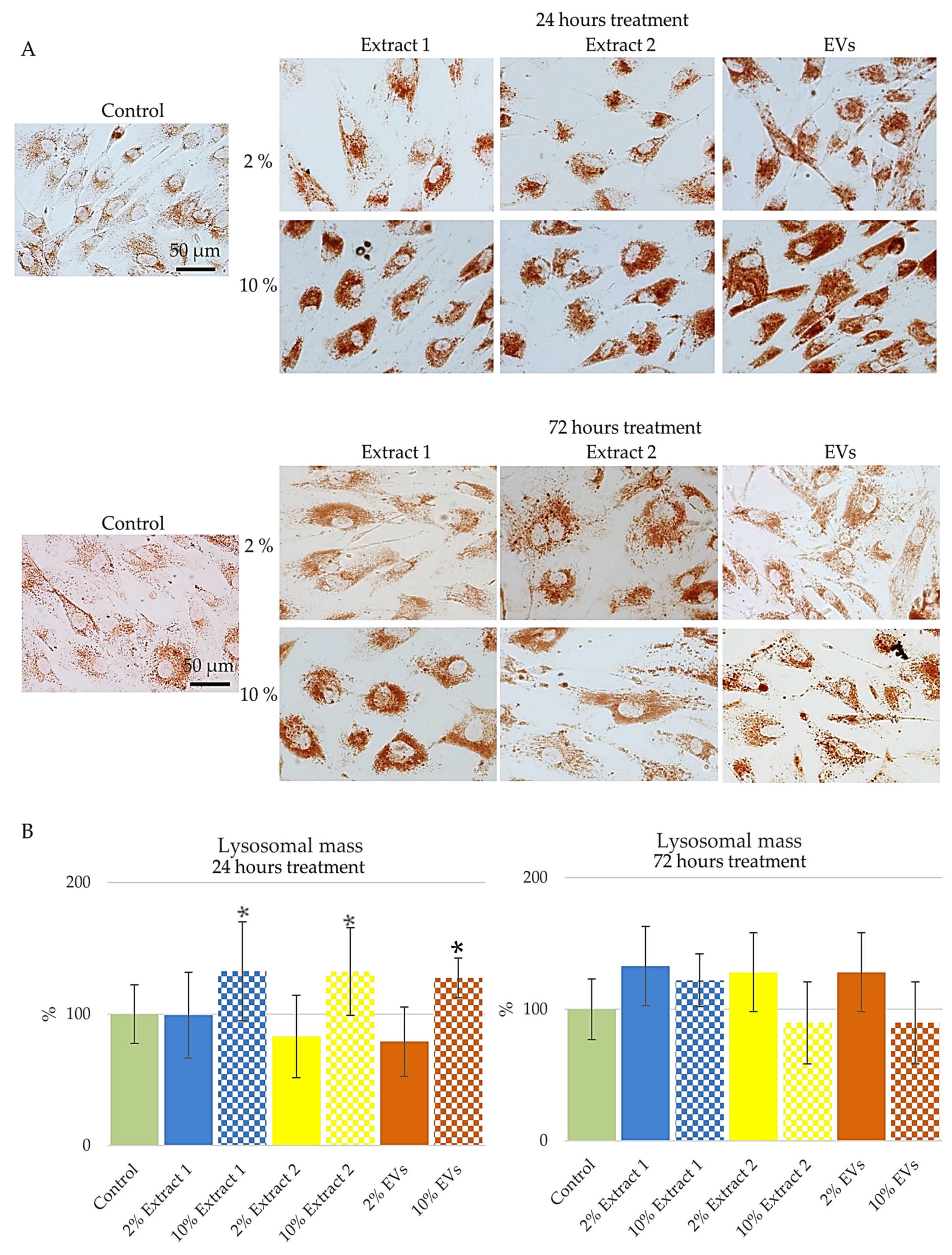 Cosmetics 12 00090 g006