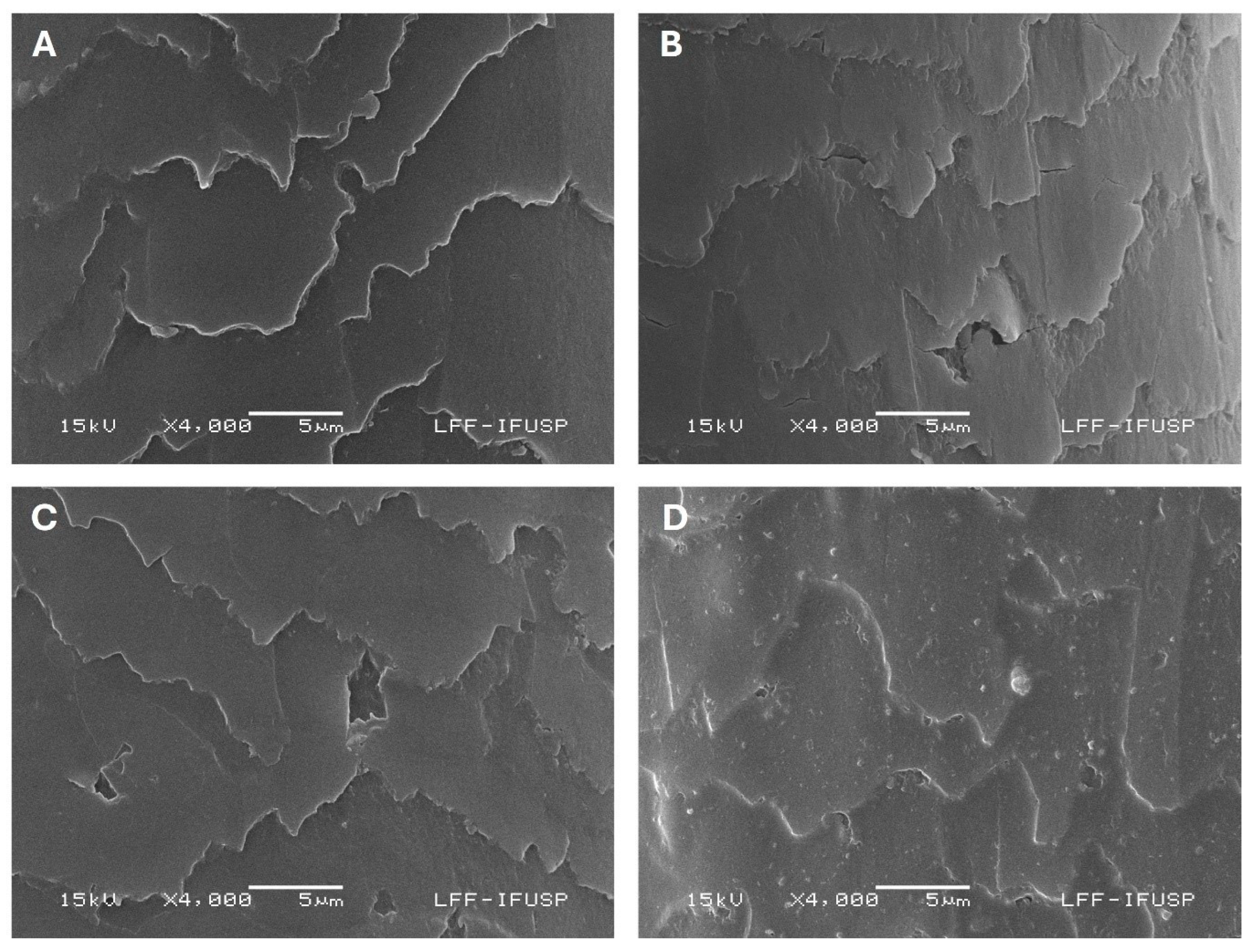 Cosmetics 12 00093 g003